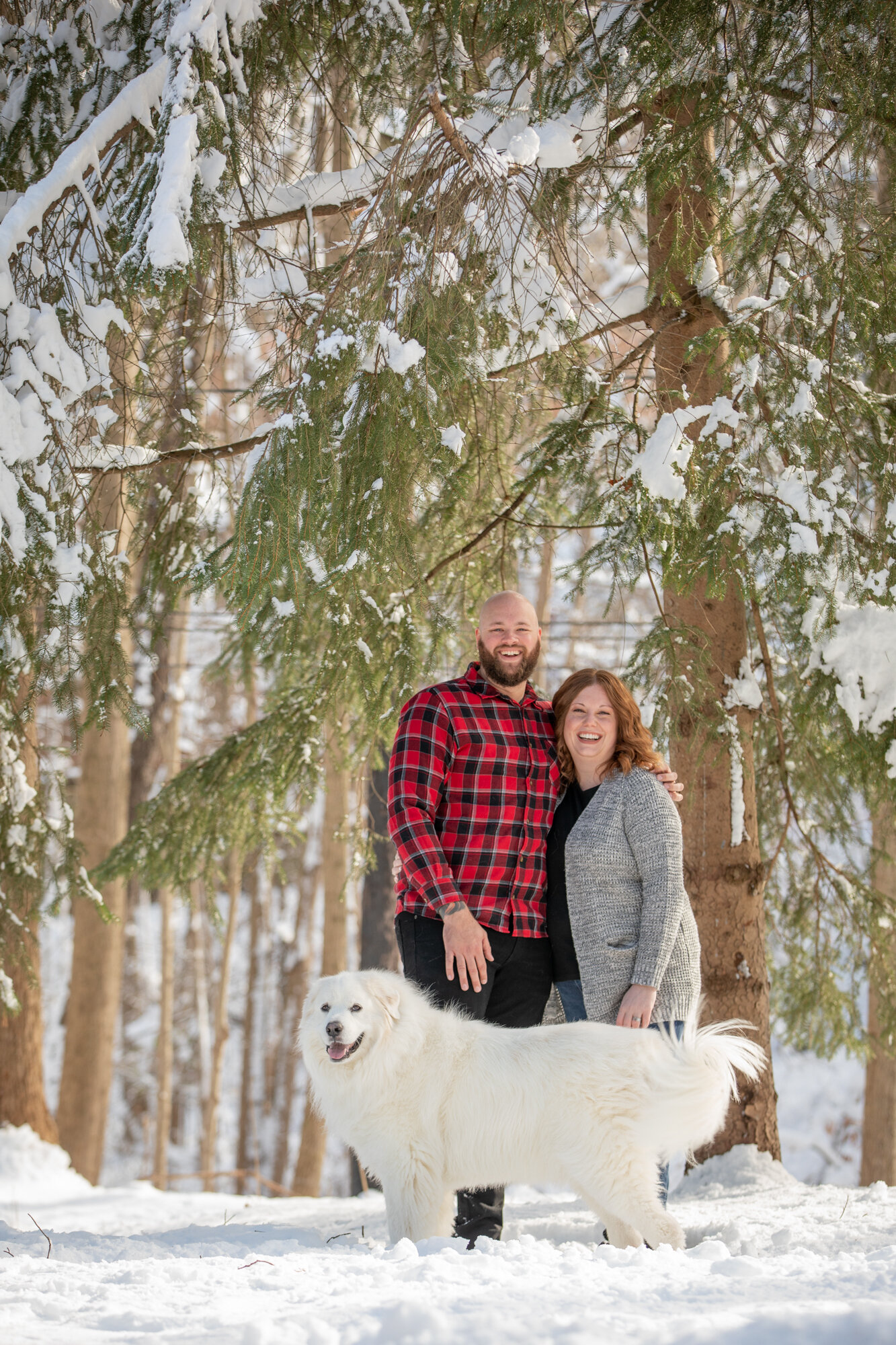 Cleveland Akron Ohio Best Family Portrait photographer Liza Sue Productions (Copy) (Copy)