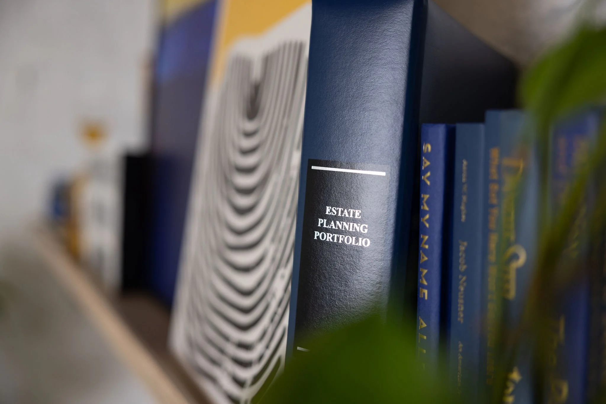 brand color palette photography Cleveland Ohio