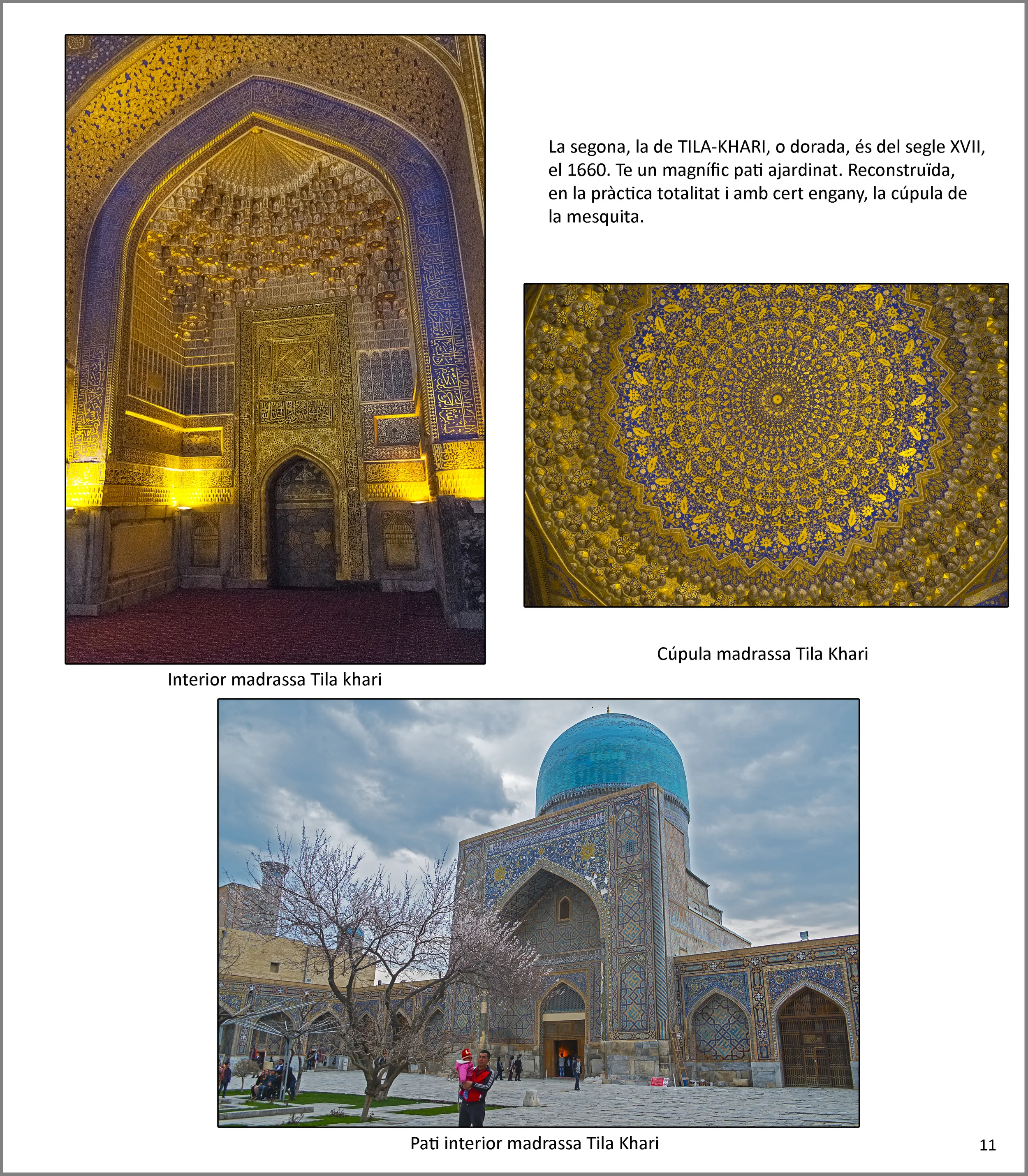 Samarkanda