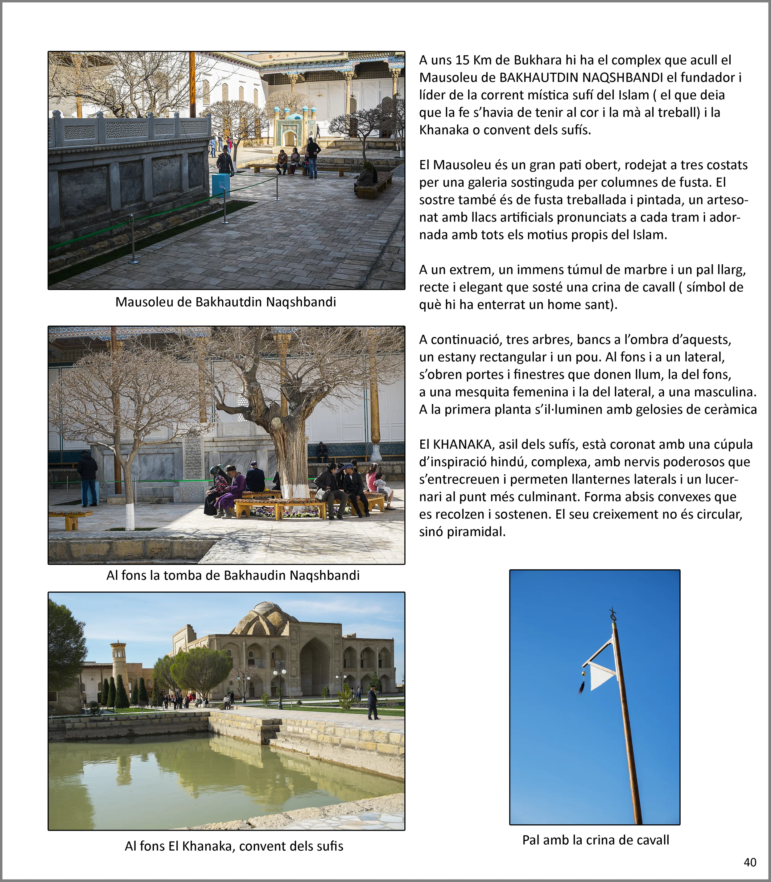 Bukhara i voltans
