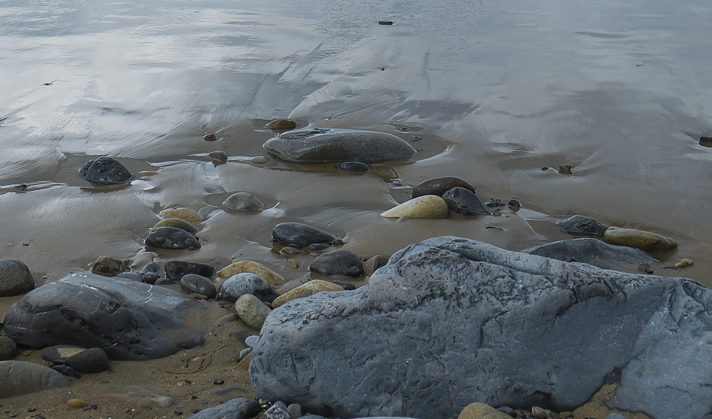 DSCF7519.jpg