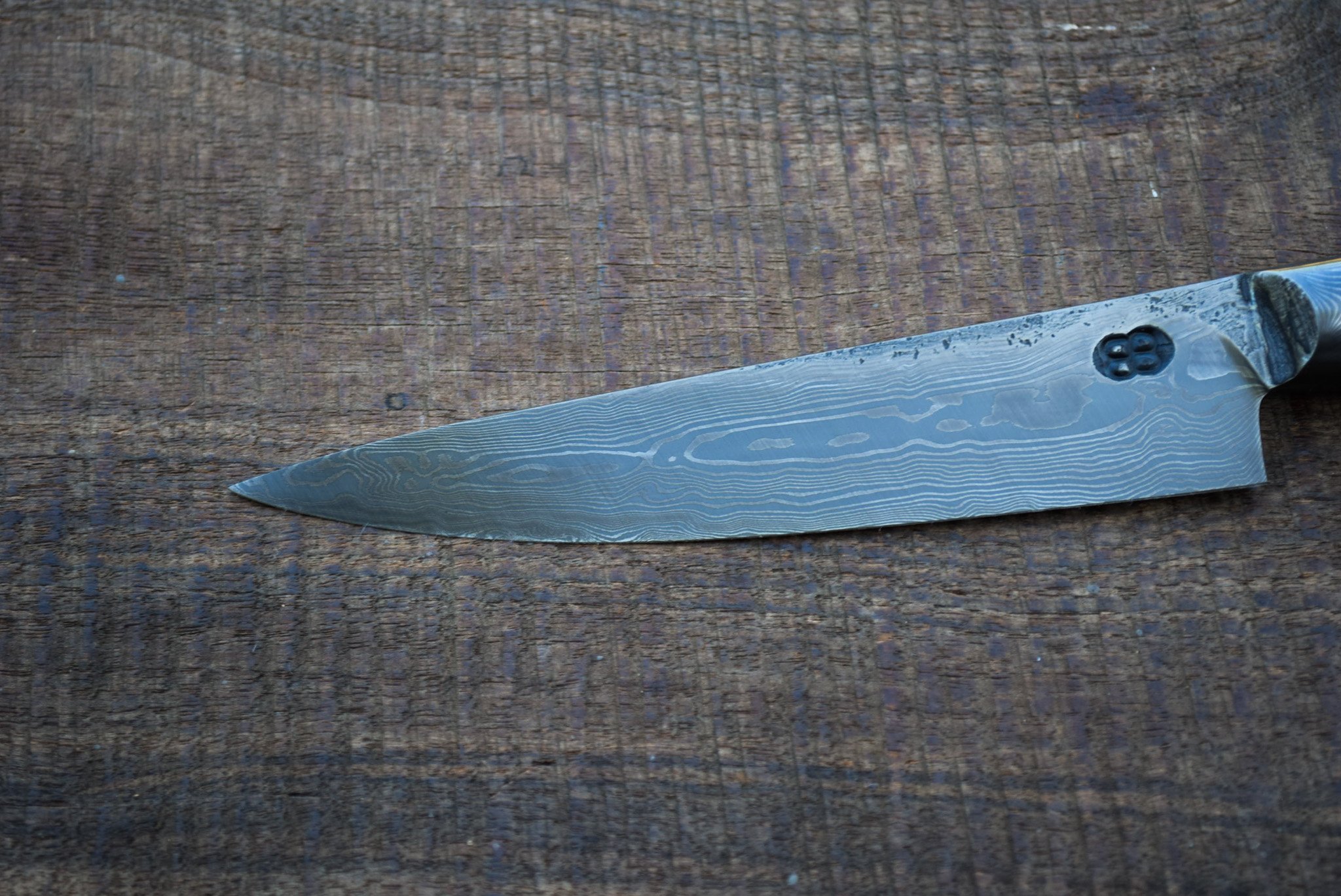 DSC_0216.jpg