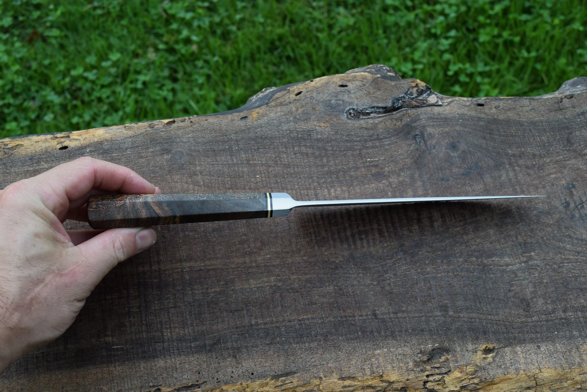 DSC_0059.jpg