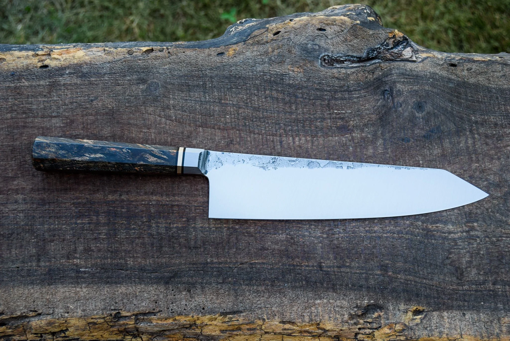 DSC_0028.jpg
