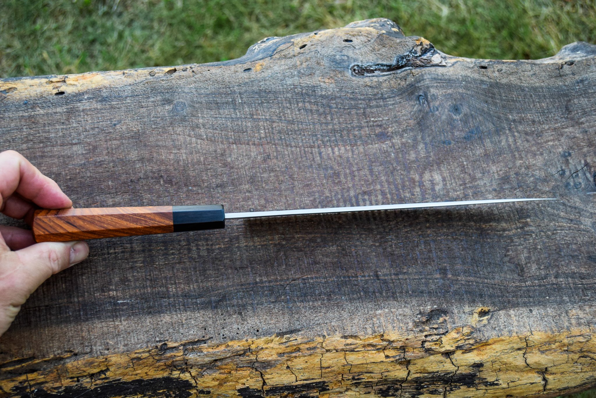 DSC_0103.jpg