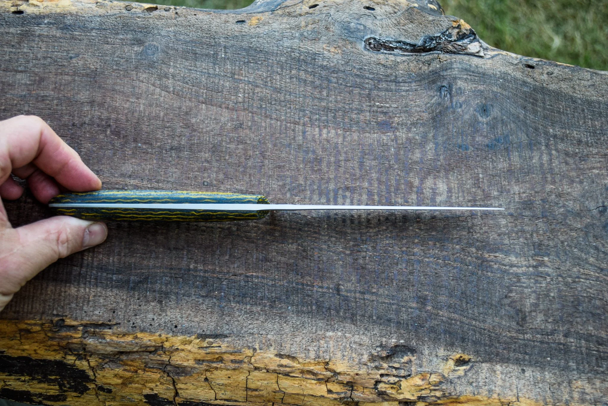 DSC_0121.jpg