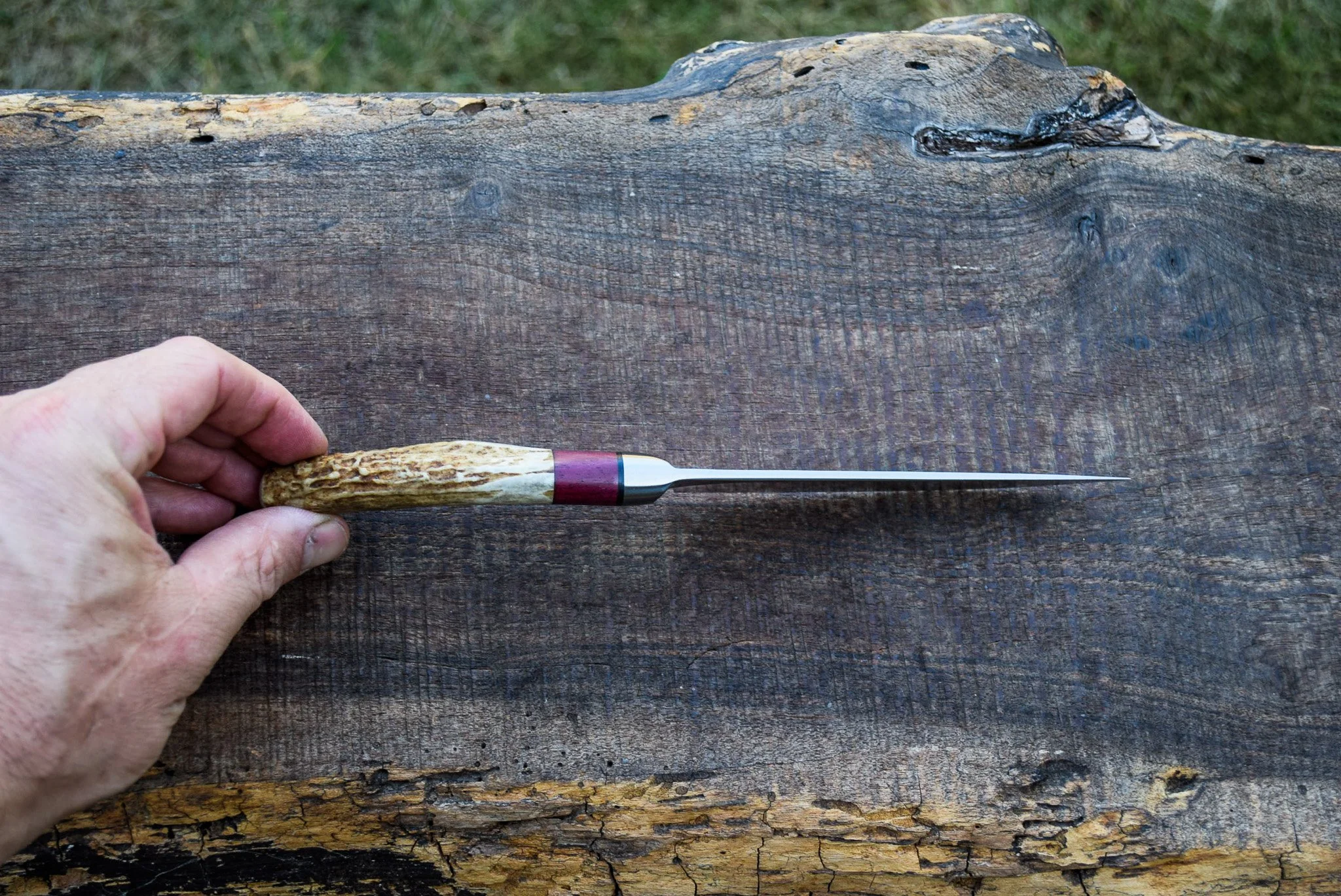 DSC_0156.jpg