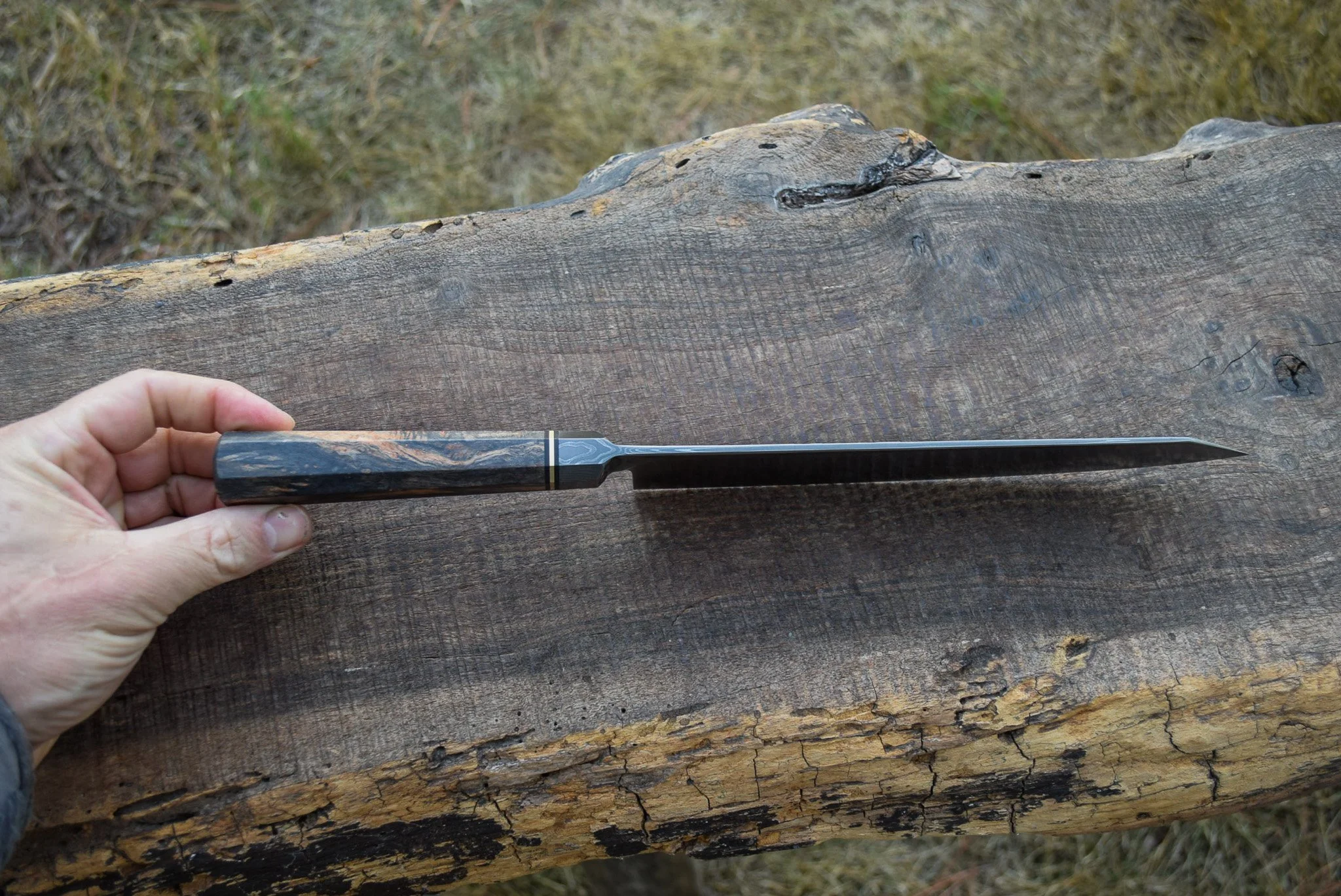 DSC_0255.jpg