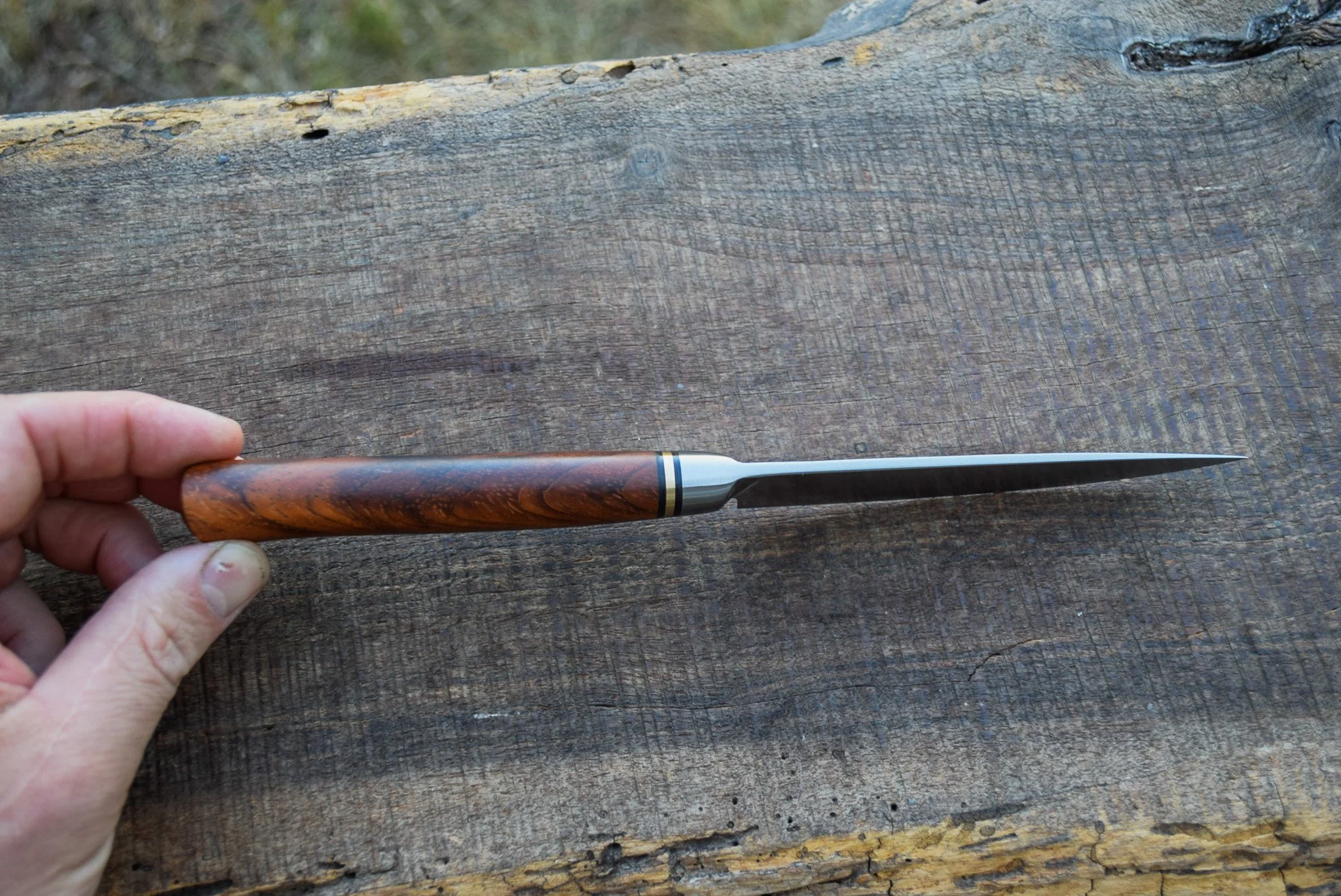DSC_0348.jpg