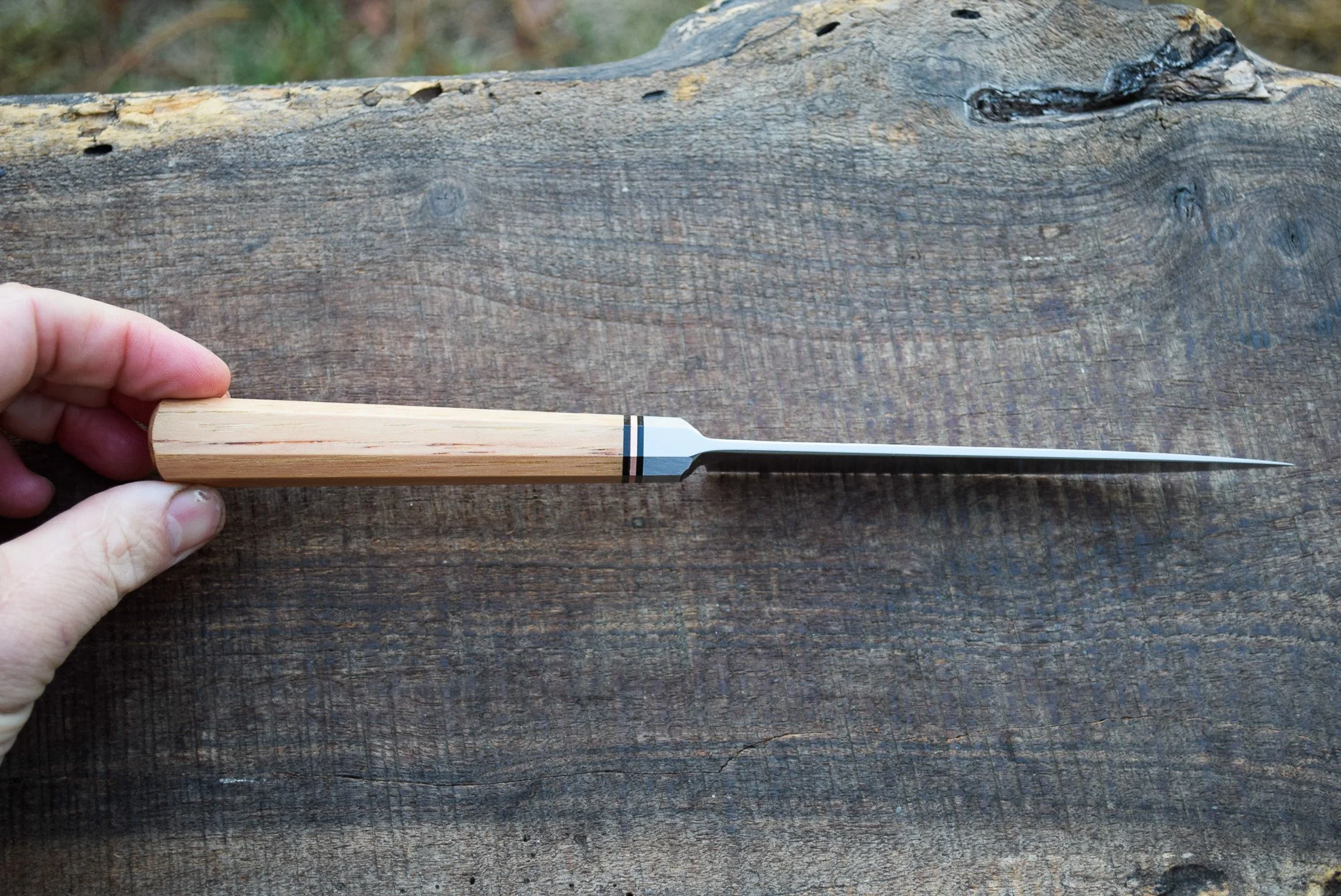 DSC_0506.jpg
