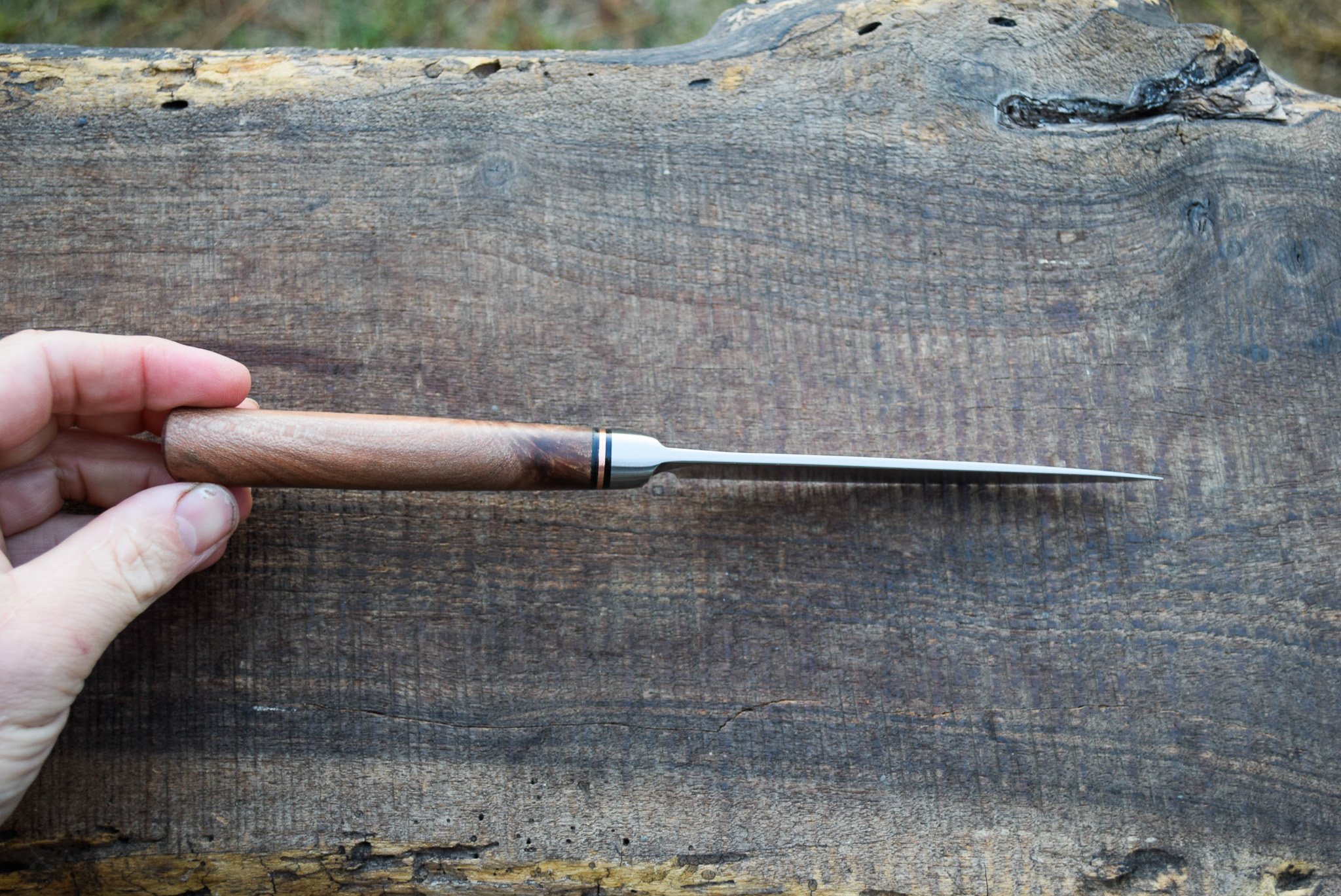 DSC_0510.jpg