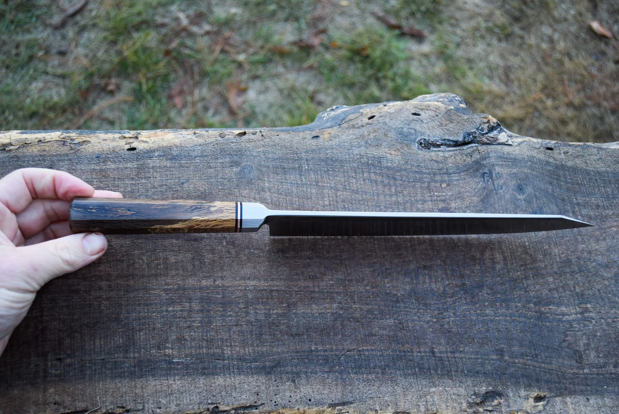 DSC_0404.jpg