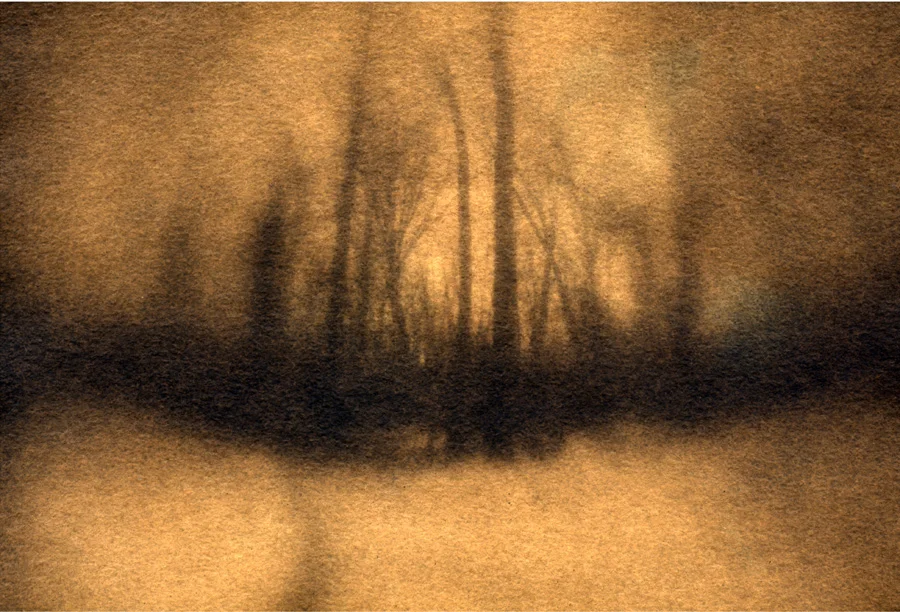 Woods