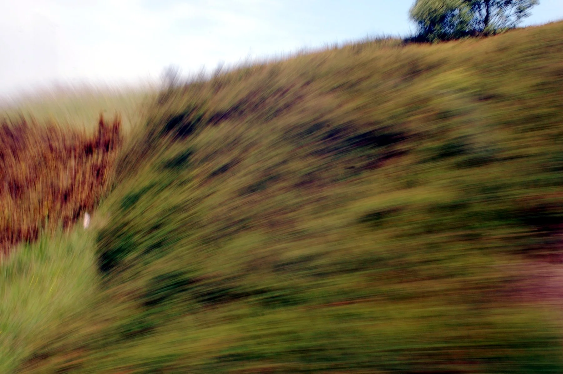 locomotion1sm.jpg