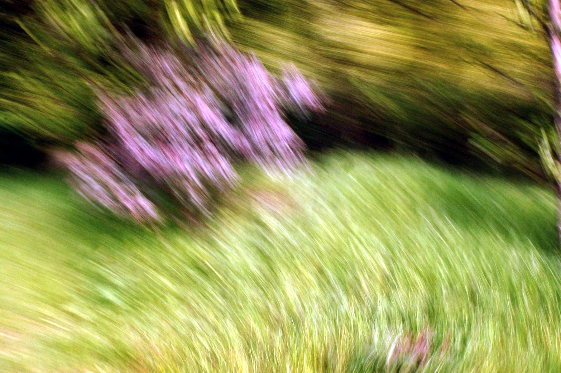 locomotion22sm.jpg