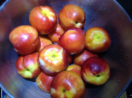 Some nice nectarine was the option when I couldn't find any peaches! 
