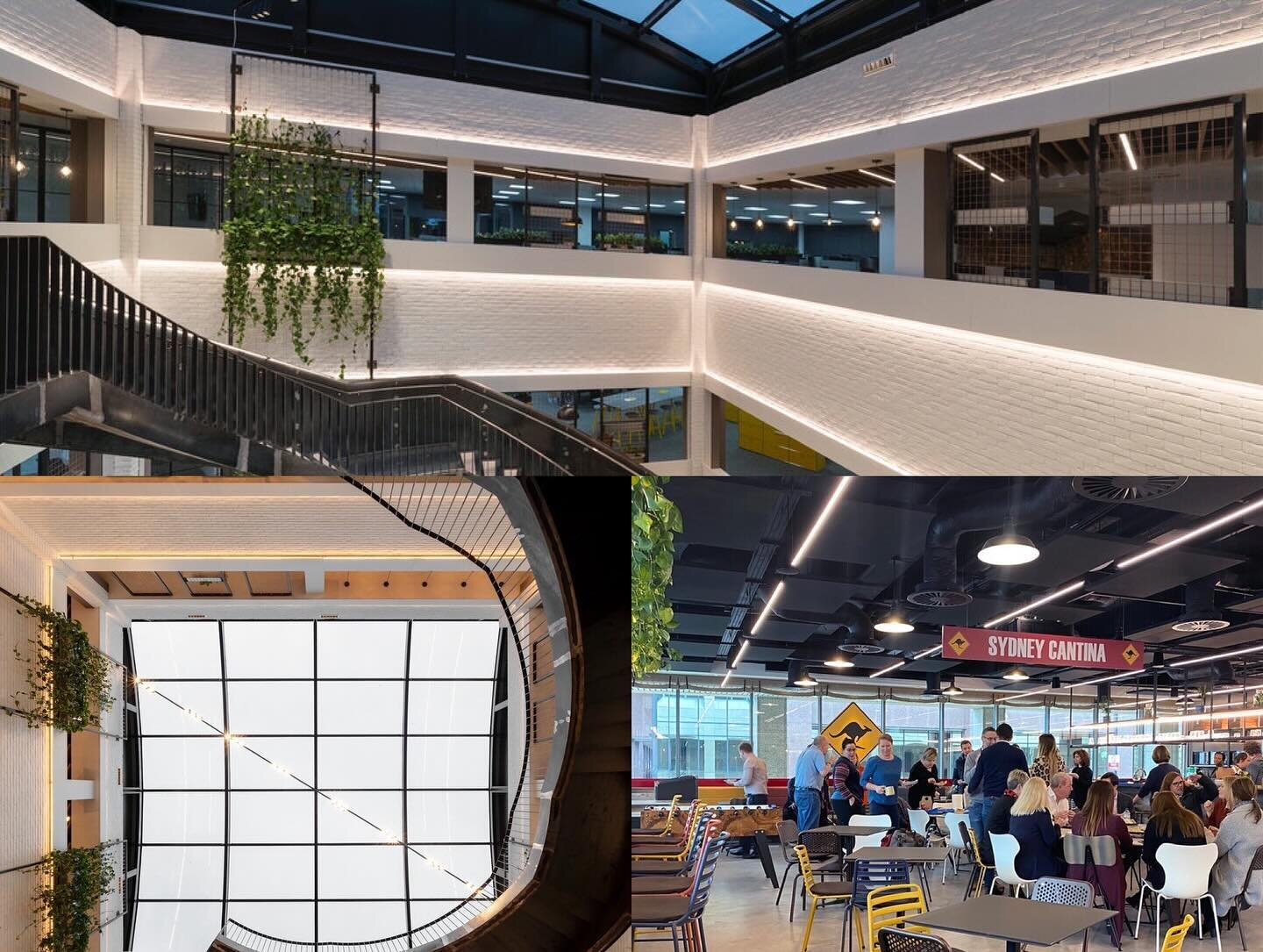 Access to natural light and views. An integral part of all our projects!
#workplacewellbeing #officedesign #workplaceexperience #rethinkingtheworkplace