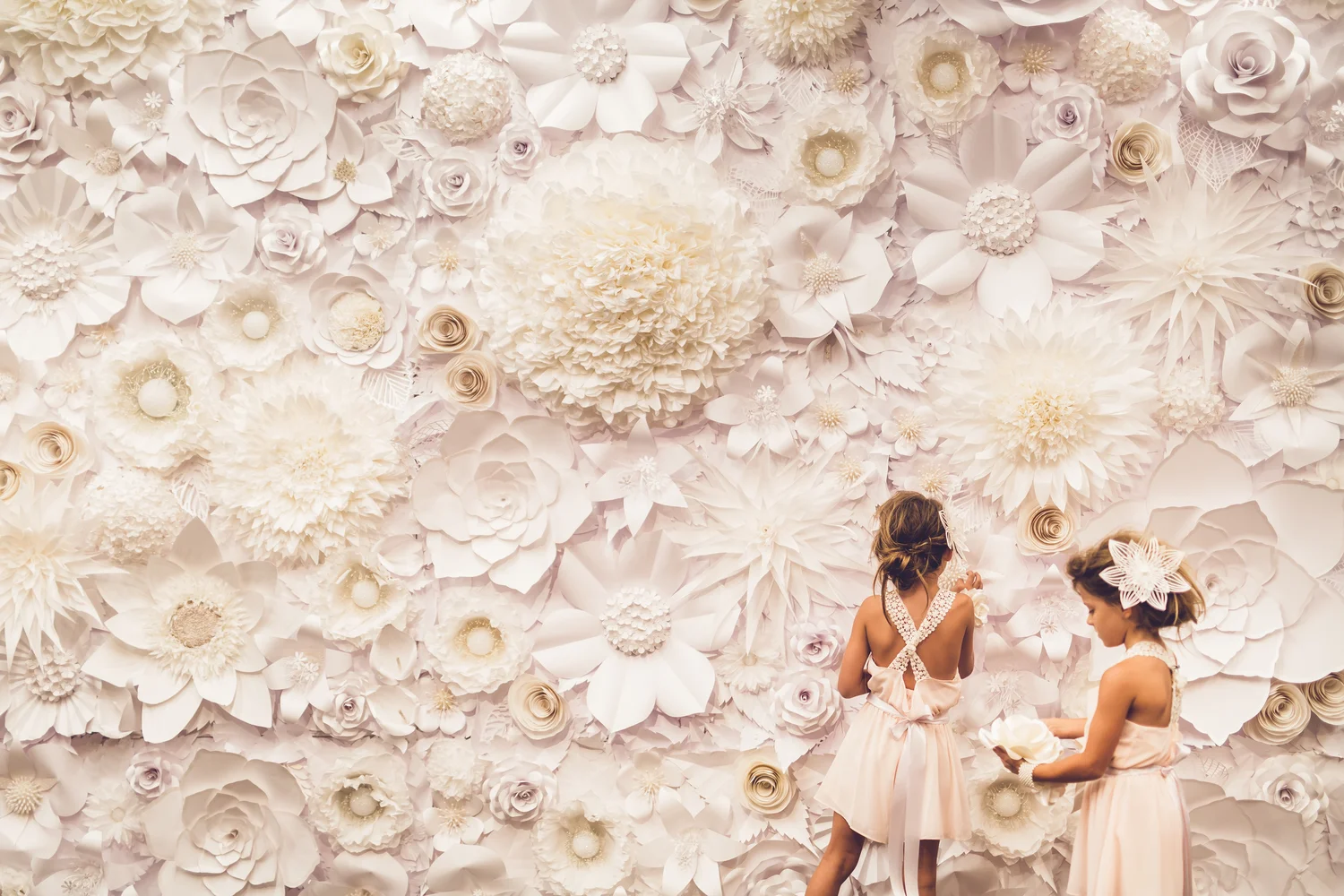 Paper Flower Wall Wedding Backdrop | Best Flower Site