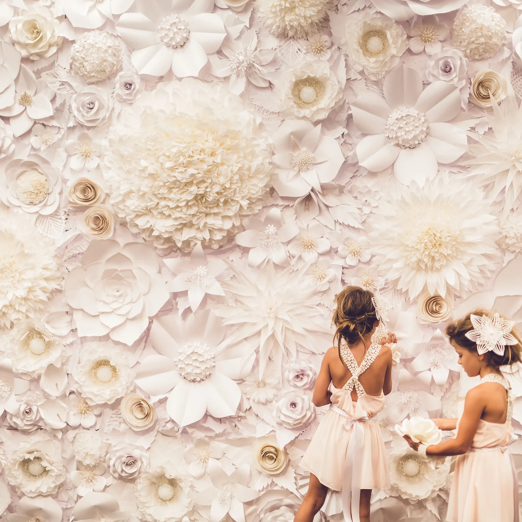 Paper Flower Rentals — Paper Flowers