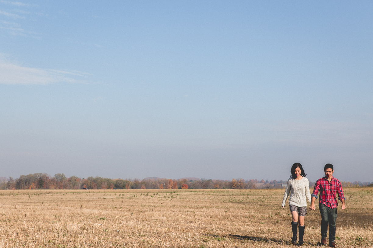 toronto engagement photos