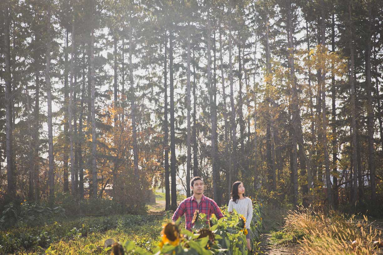 toronto engagement photos