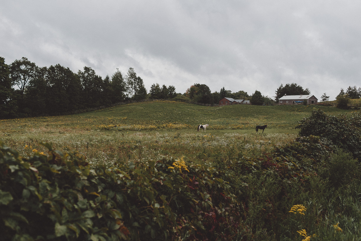 Rainbow Valley Wedding Barn