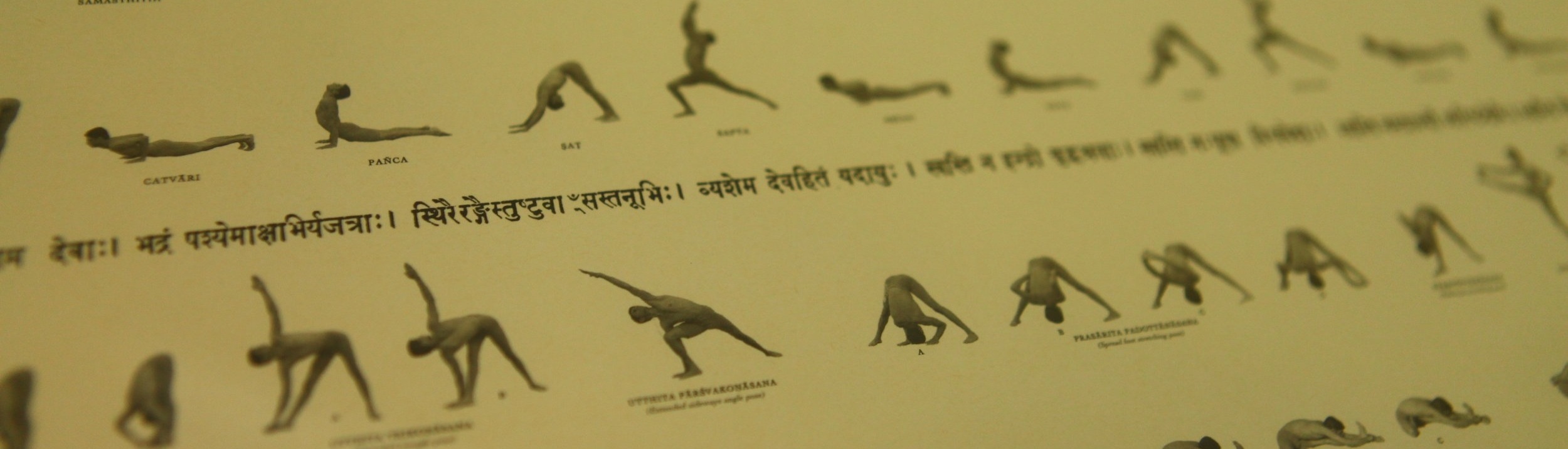 Ashtanga Primary Series-digital File-yoga Cheat Sheet-yoga Print-sun  Salutation-yoga Printable-ashtanga Printable Makkia Designs-yoga Art - Etsy  Israel