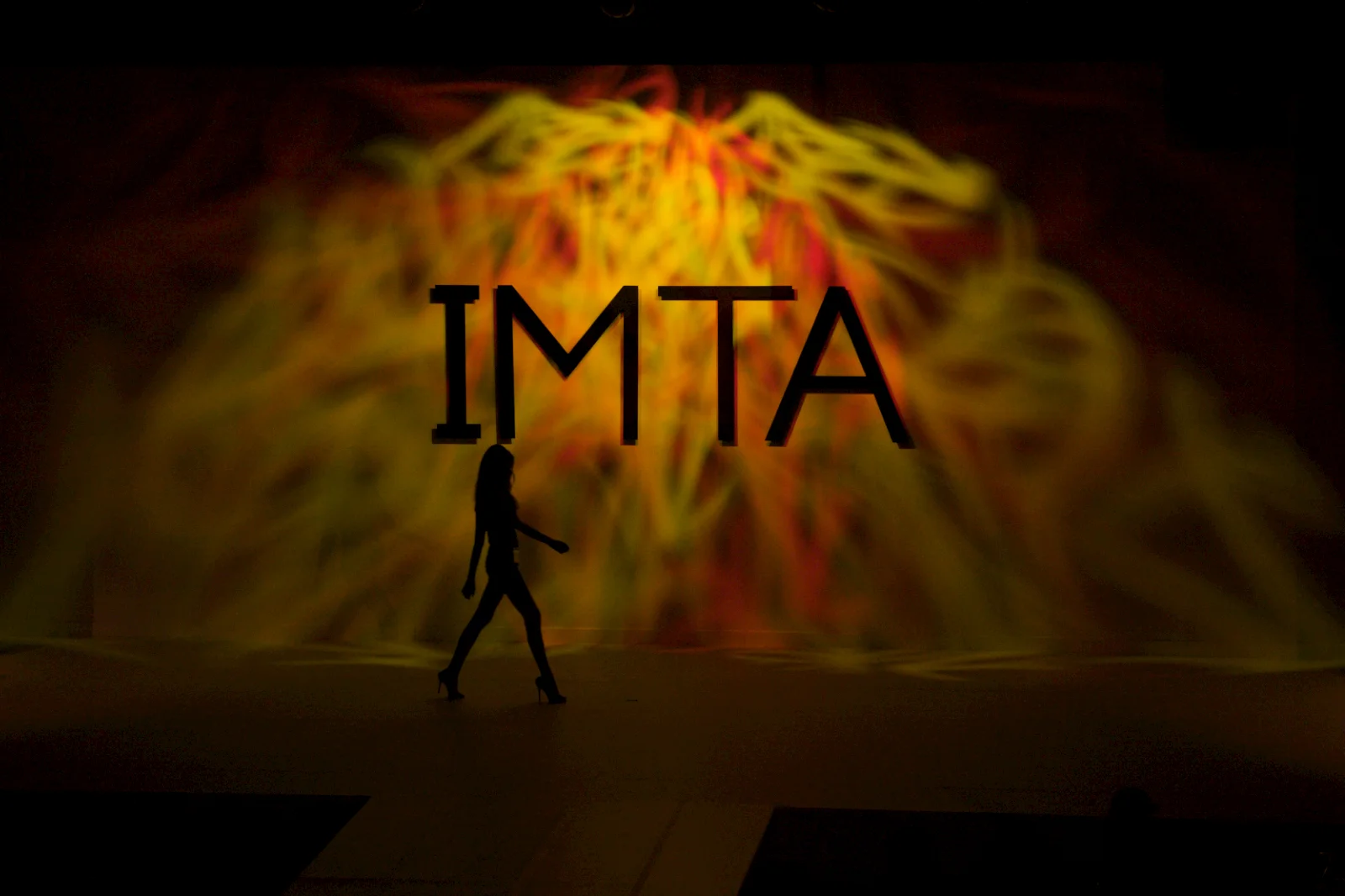 IMTA 2011  3.jpg