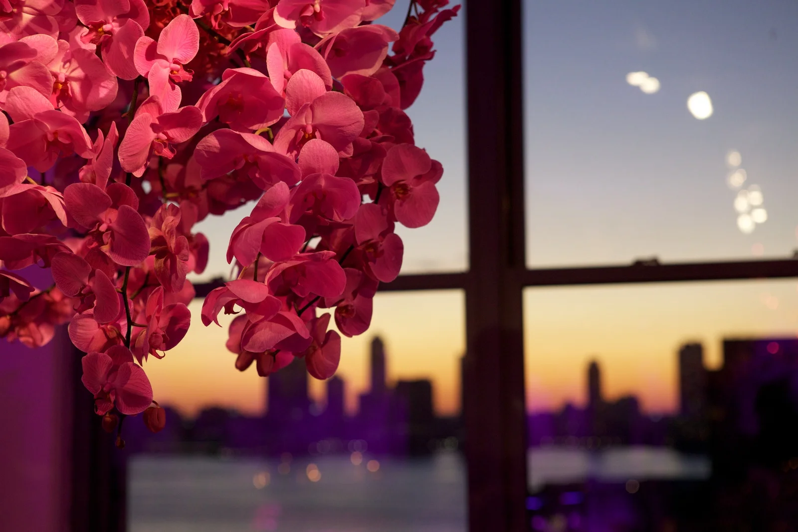 BE TriBeCa 102112 16.jpg