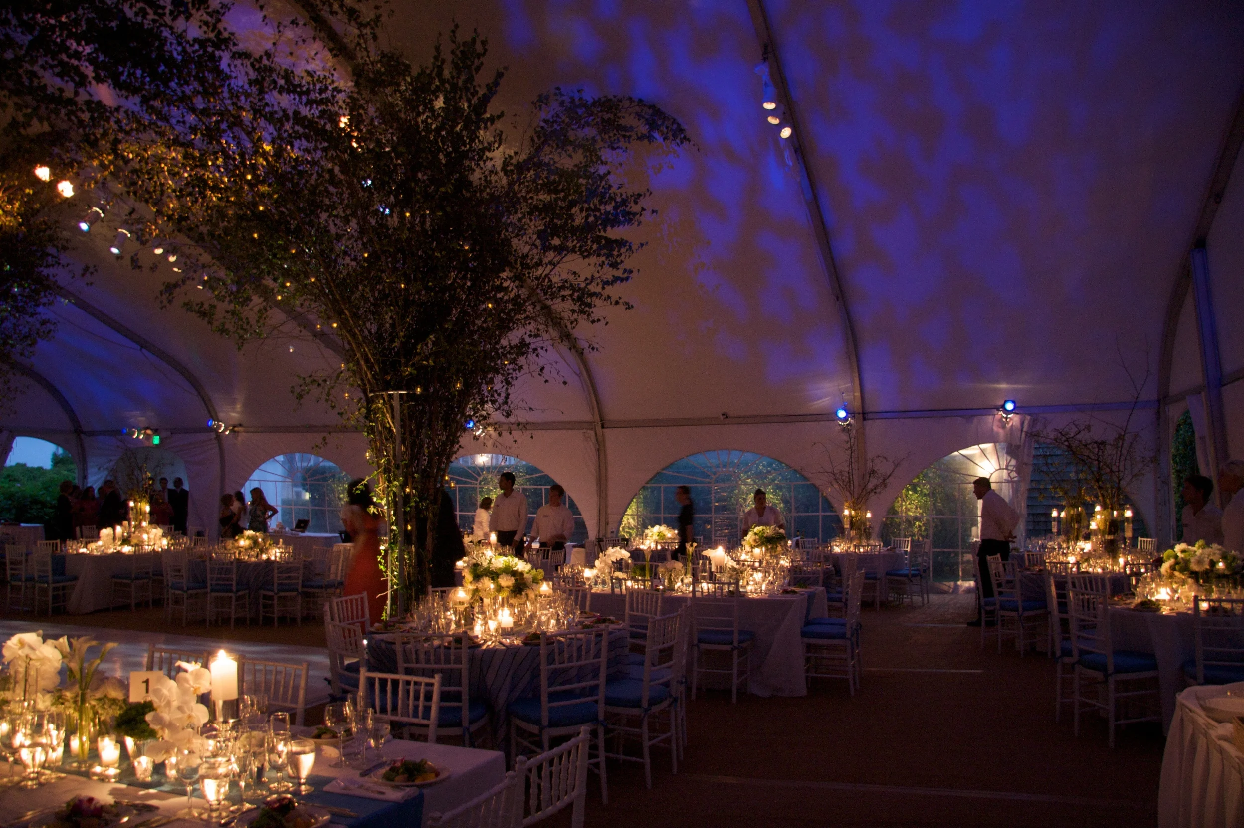 Karpf Wedding  4.jpg