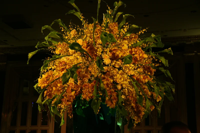 Waldorf wedding  03.jpg