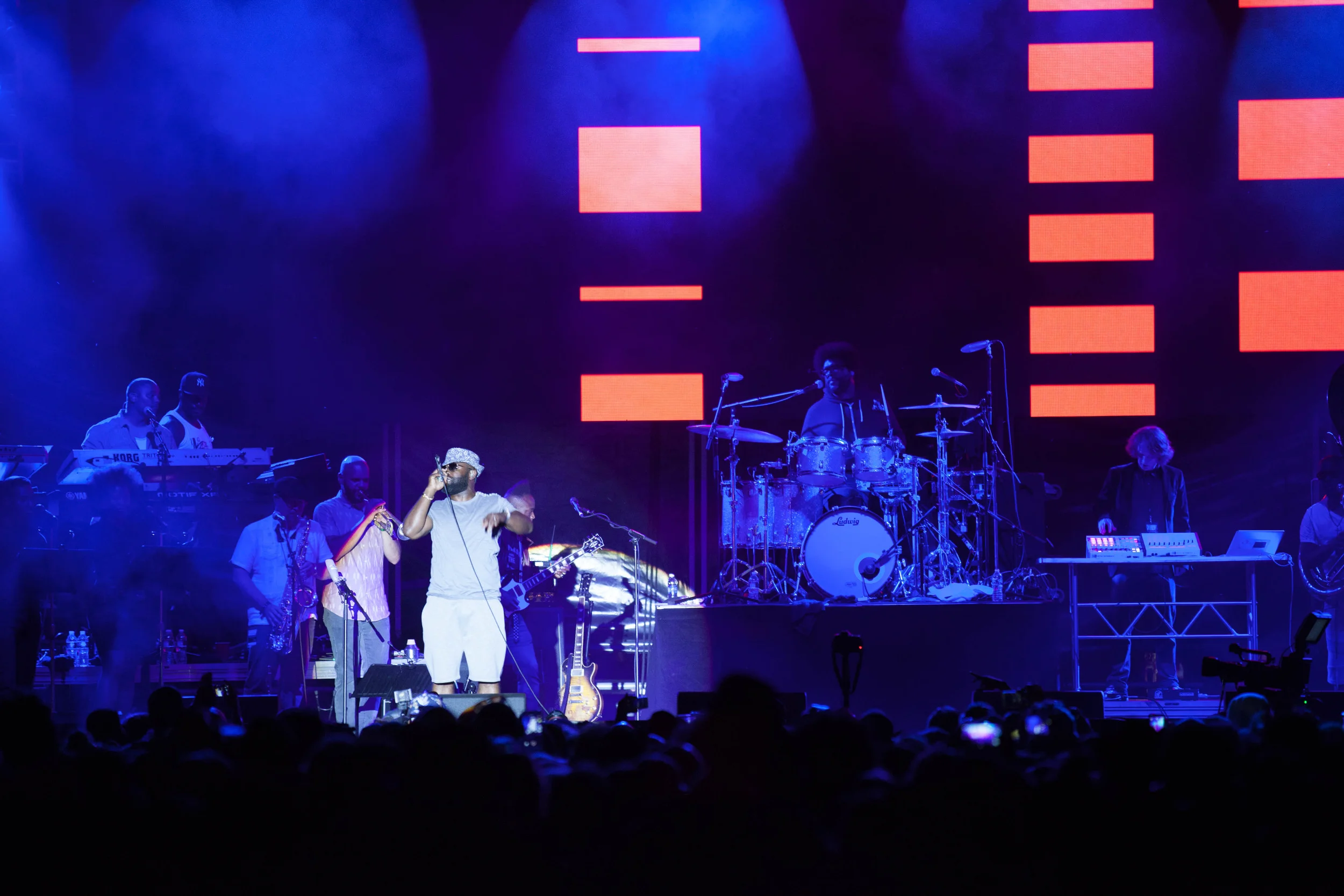 TheRootsPicnic2015-40.jpg