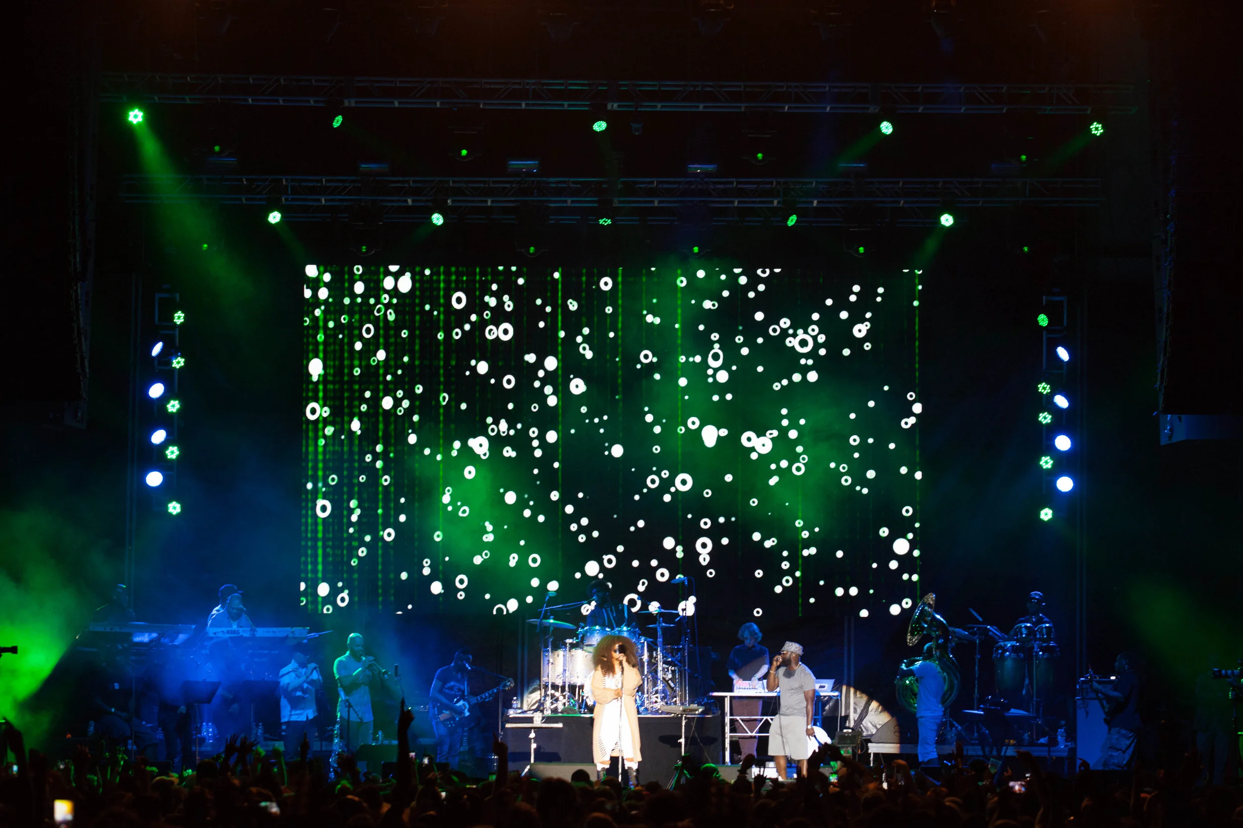 TheRootsPicnic2015-190.jpg