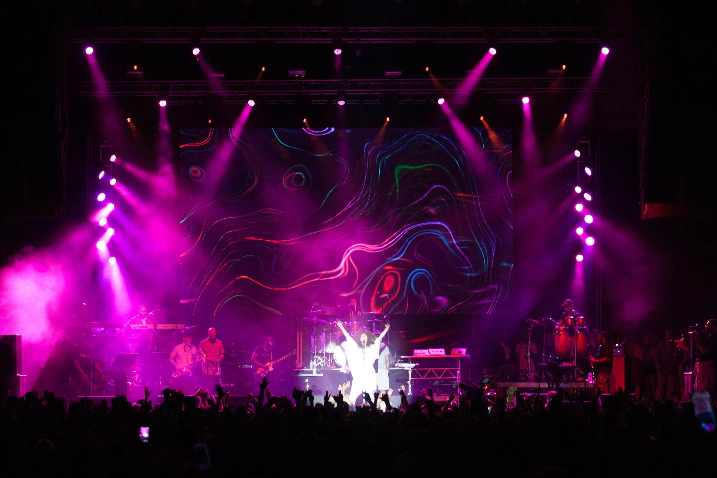 TheRootsPicnic2015-391.jpg