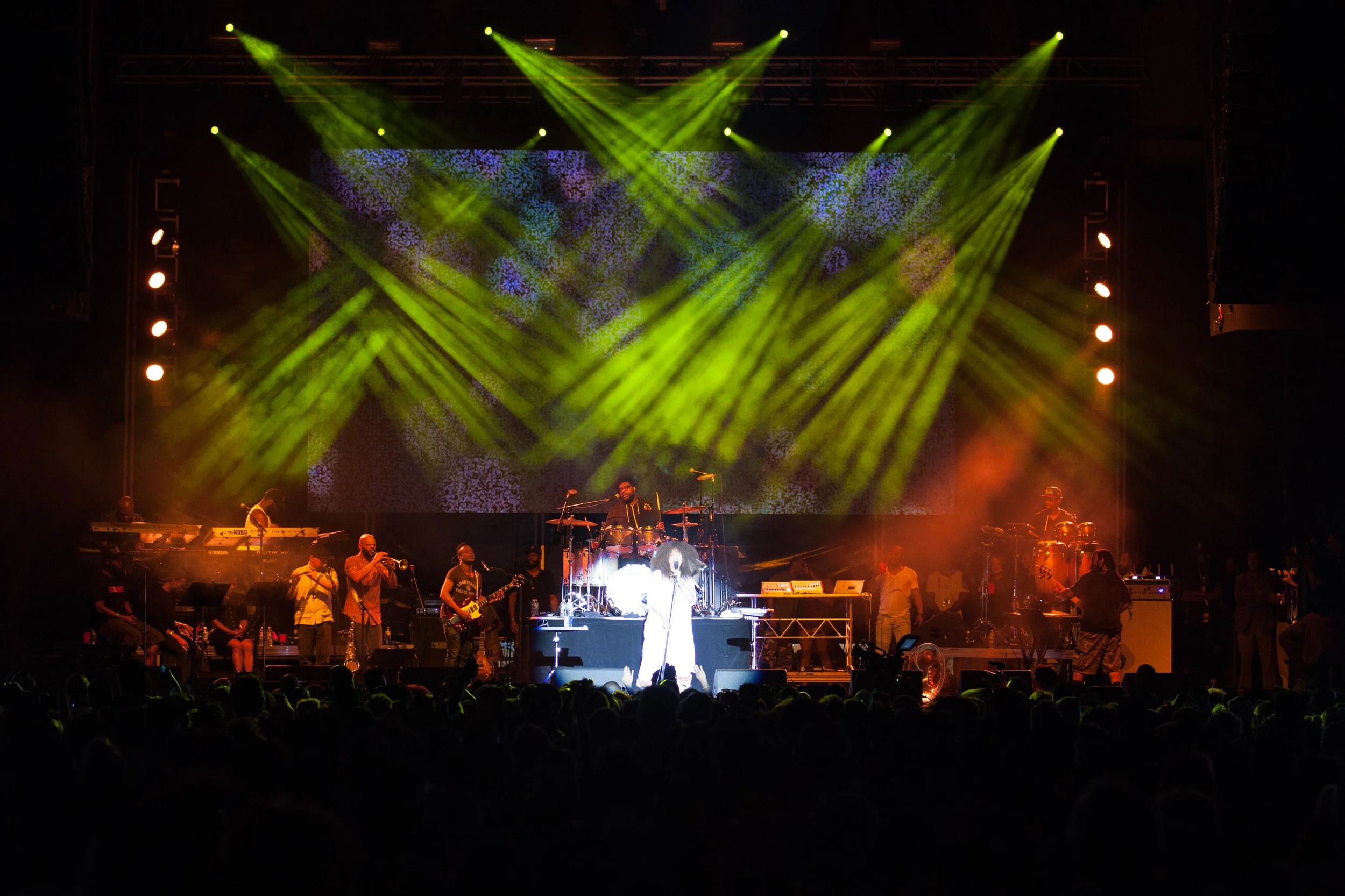 TheRootsPicnic2015-482.jpg