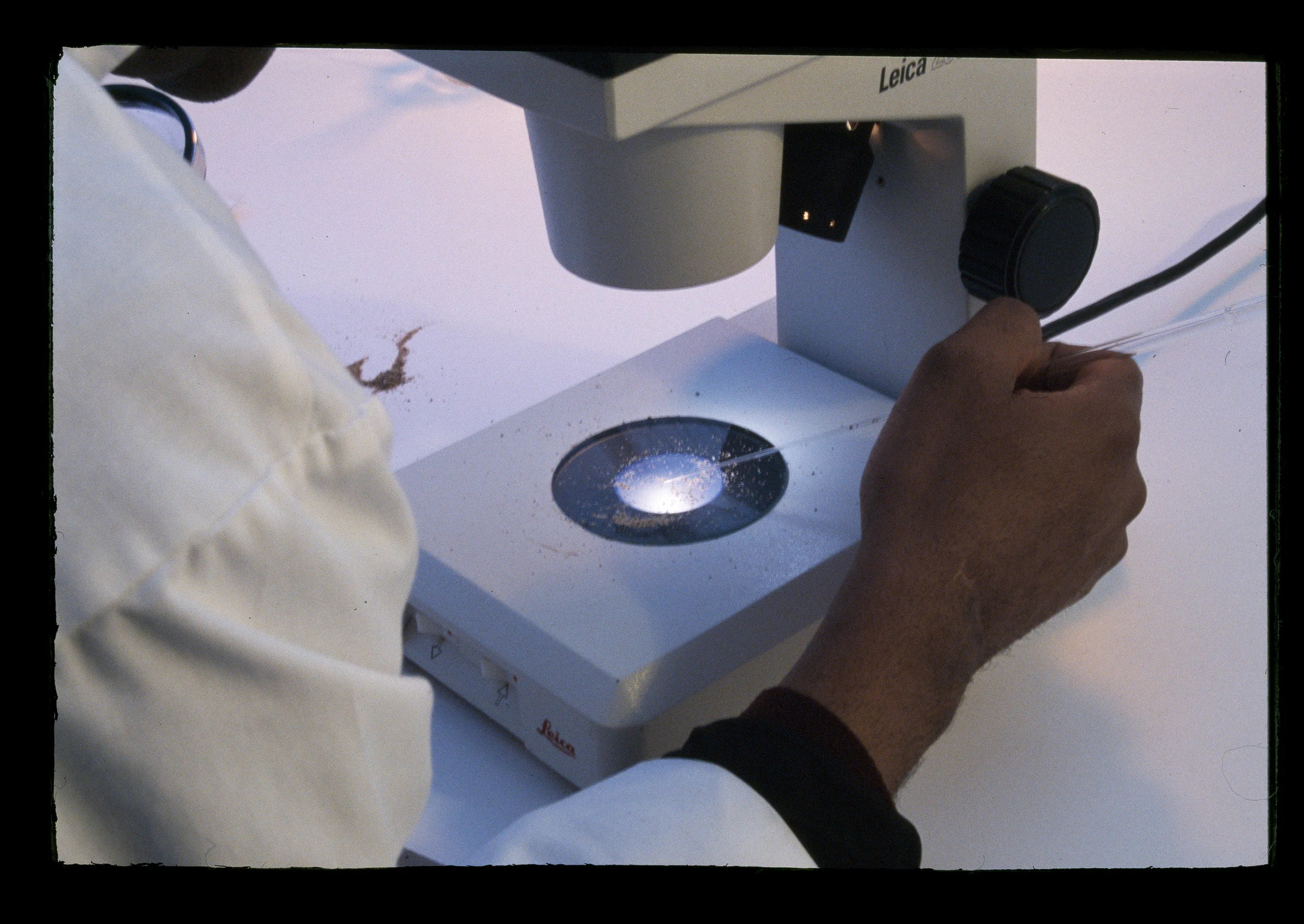 SCL 009.jpg