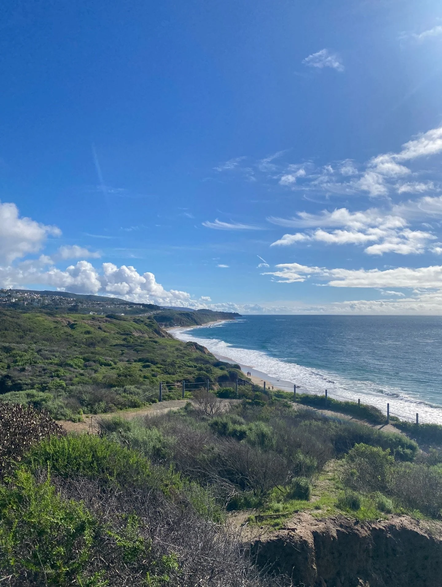 What a beautiful day. It's been days since I've seen the sun, and wow was it stunning out. 😀