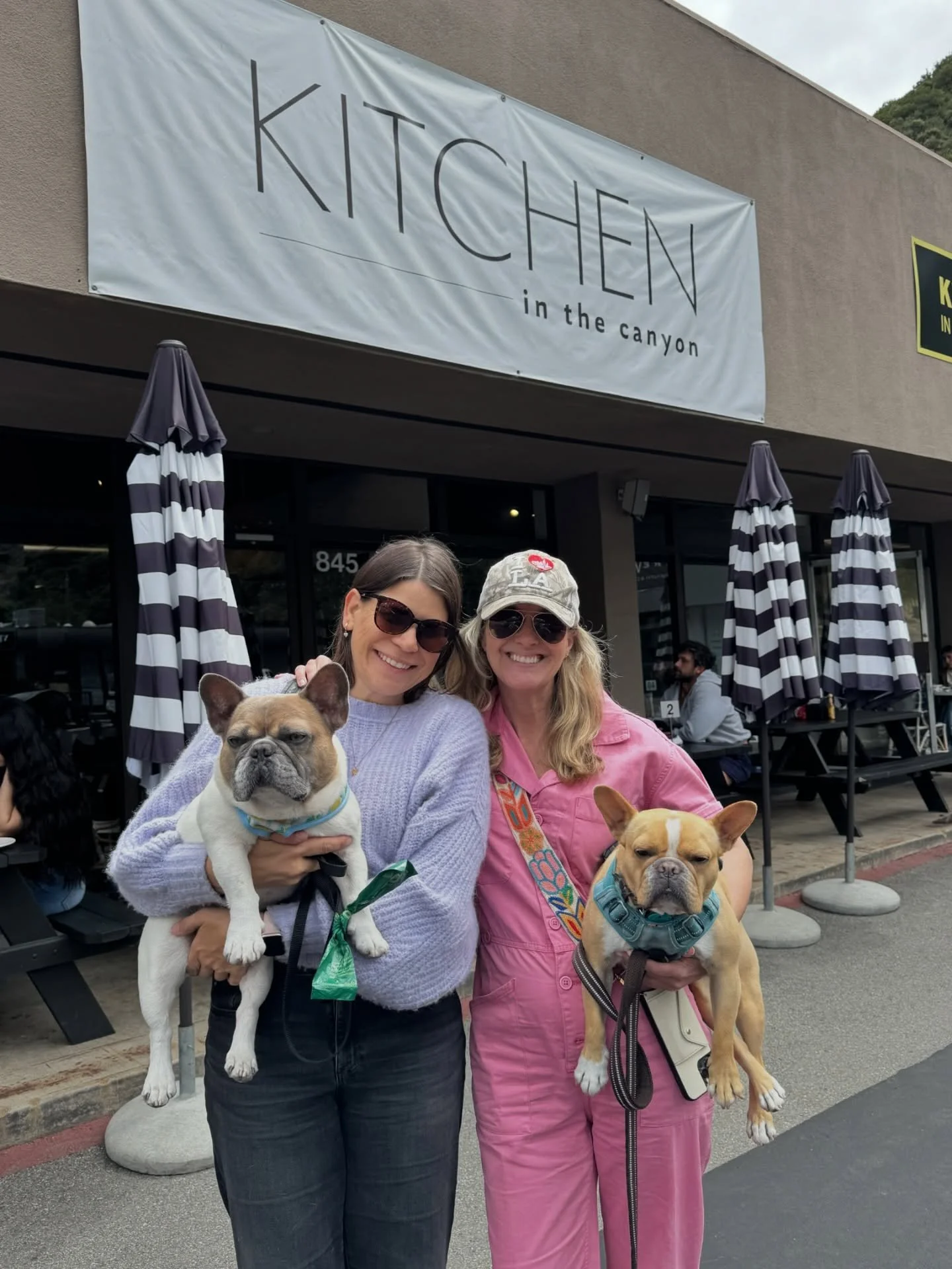 Thank you for all the birthday wishes. So grateful for this life I get to live with the amazing people I treasure so much including my dog @harleyjthefrenchie.