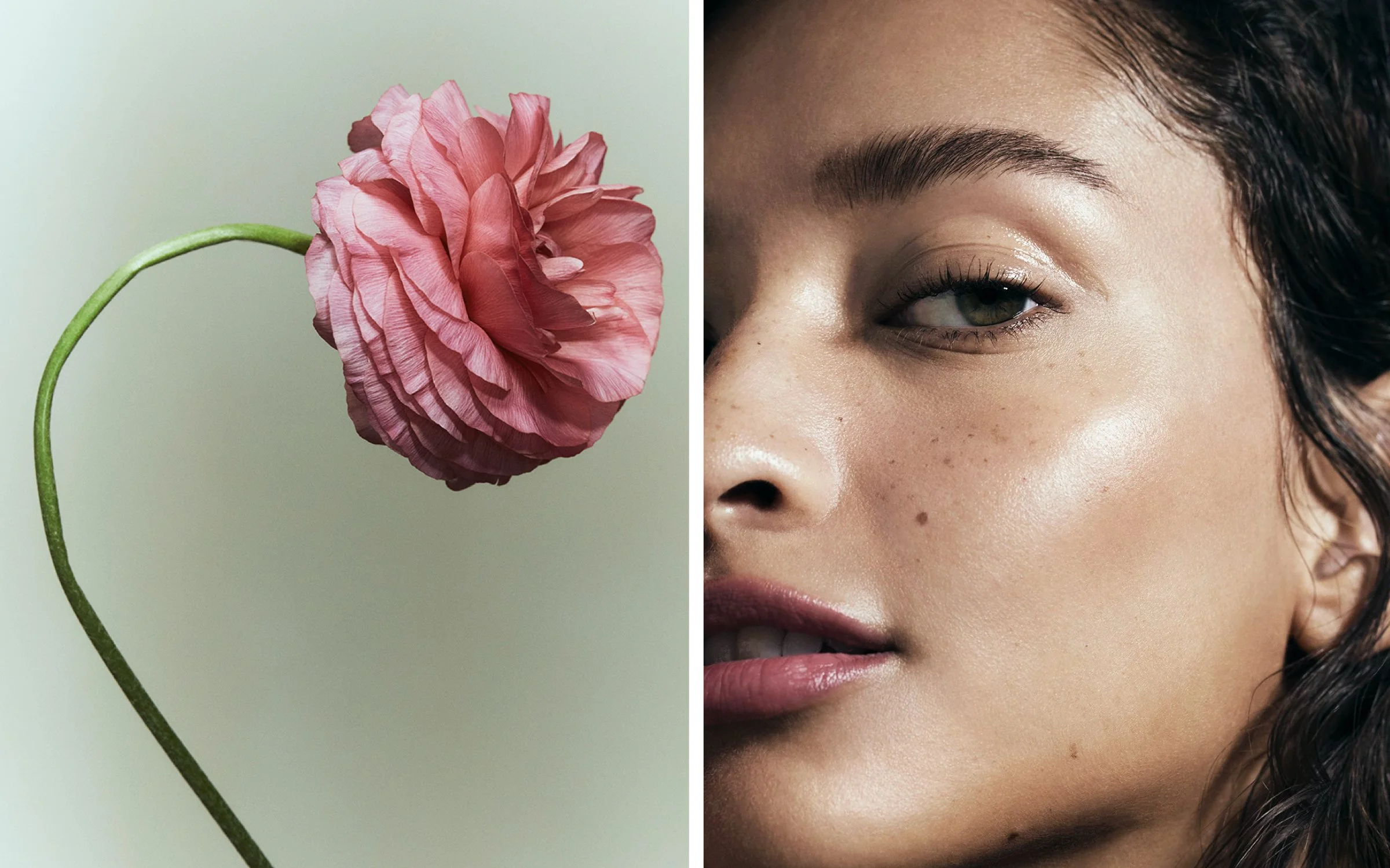 Harriet MacSween_Photographer_N6.025.jpeg