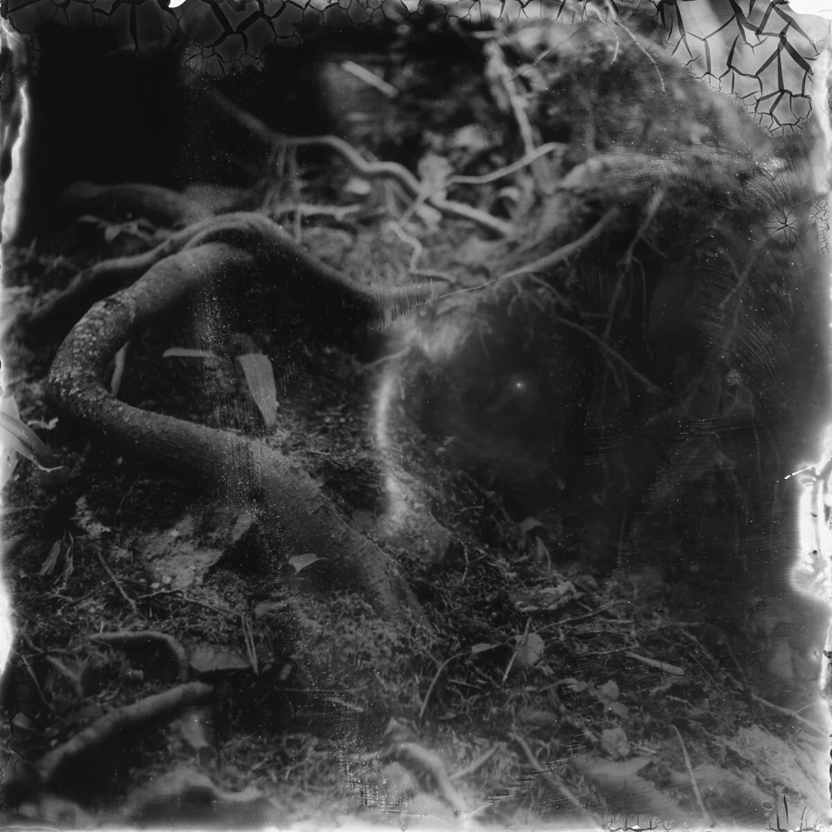 ROLL73_FR009_5x5.jpg