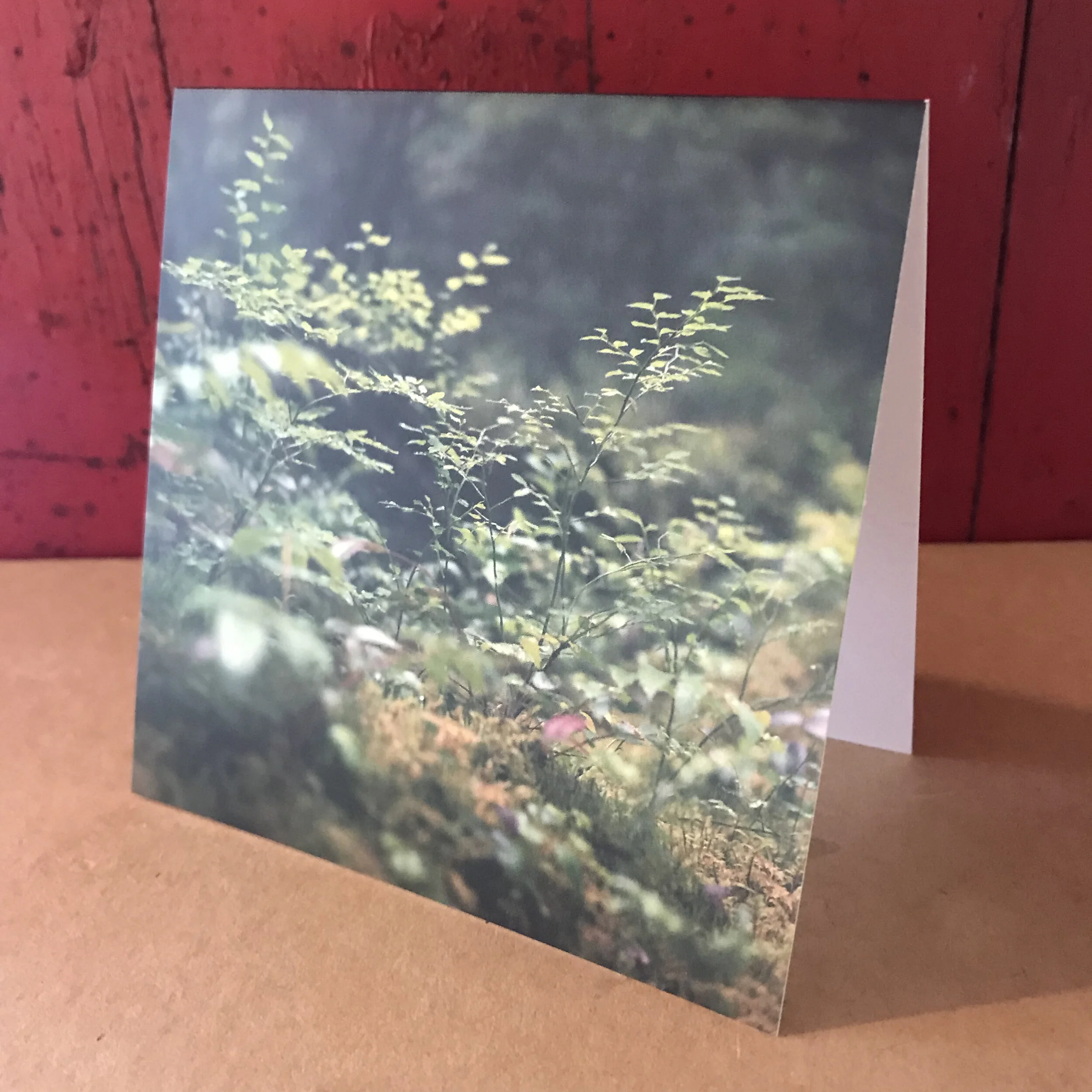 Card Sample (Above)