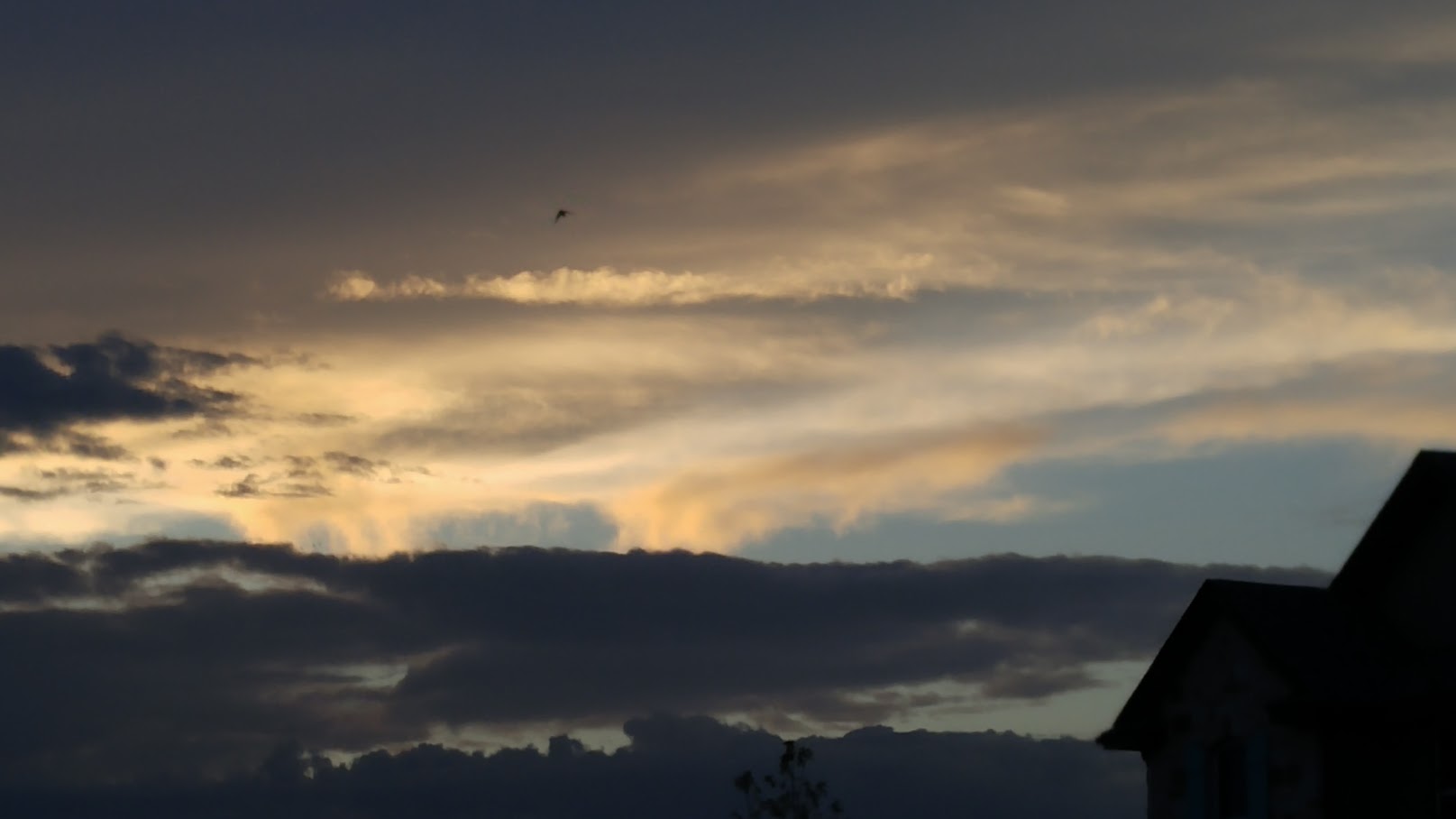 Pictured: Not really a sunset, but pretty.