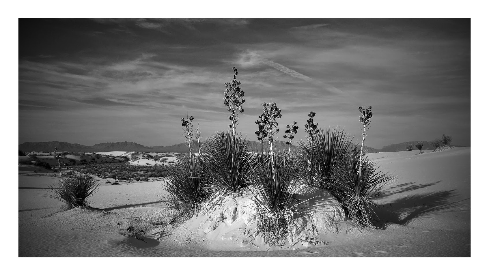 (Black and) White Sands.