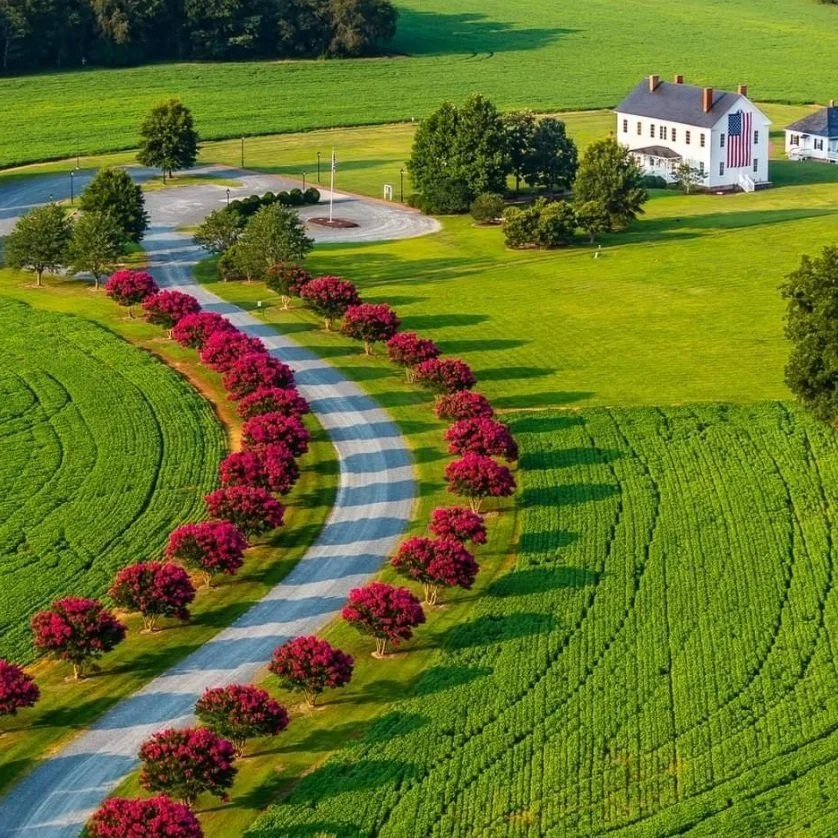 Barrier Islands Center