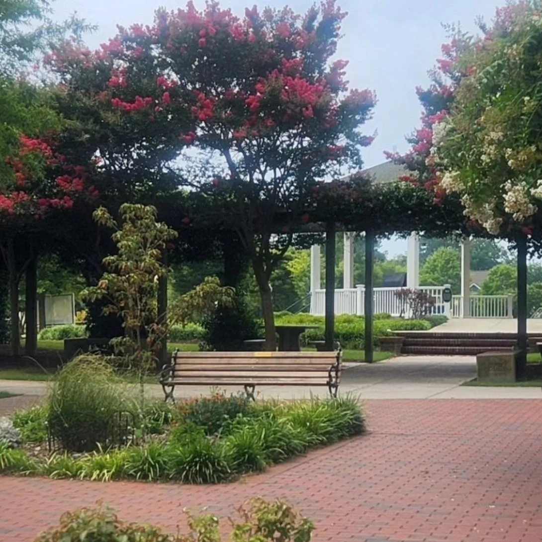 Citizens for Central Park