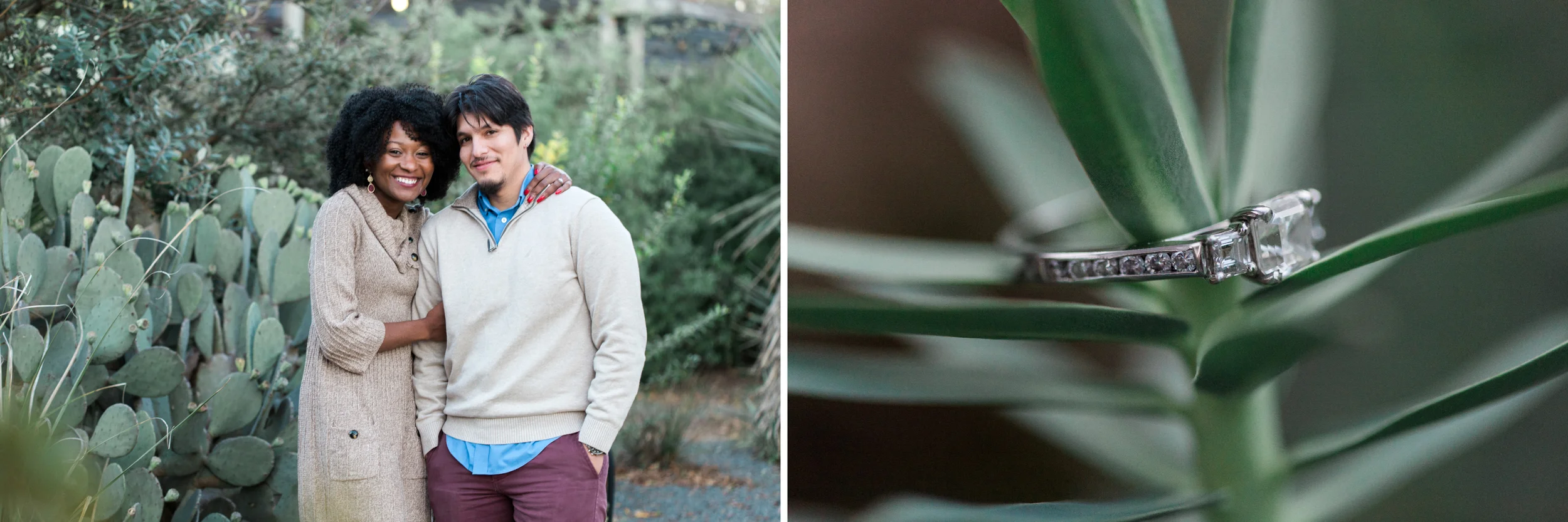 Wolfgang + Tanisha: Raleigh Arboretum Engagement // www.kristalajara.com