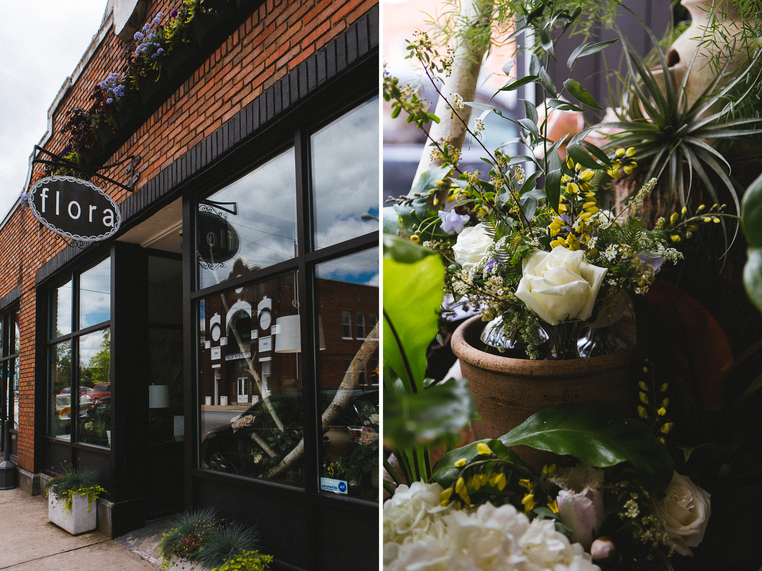 Flora: Asheville // www.kristalajara.com