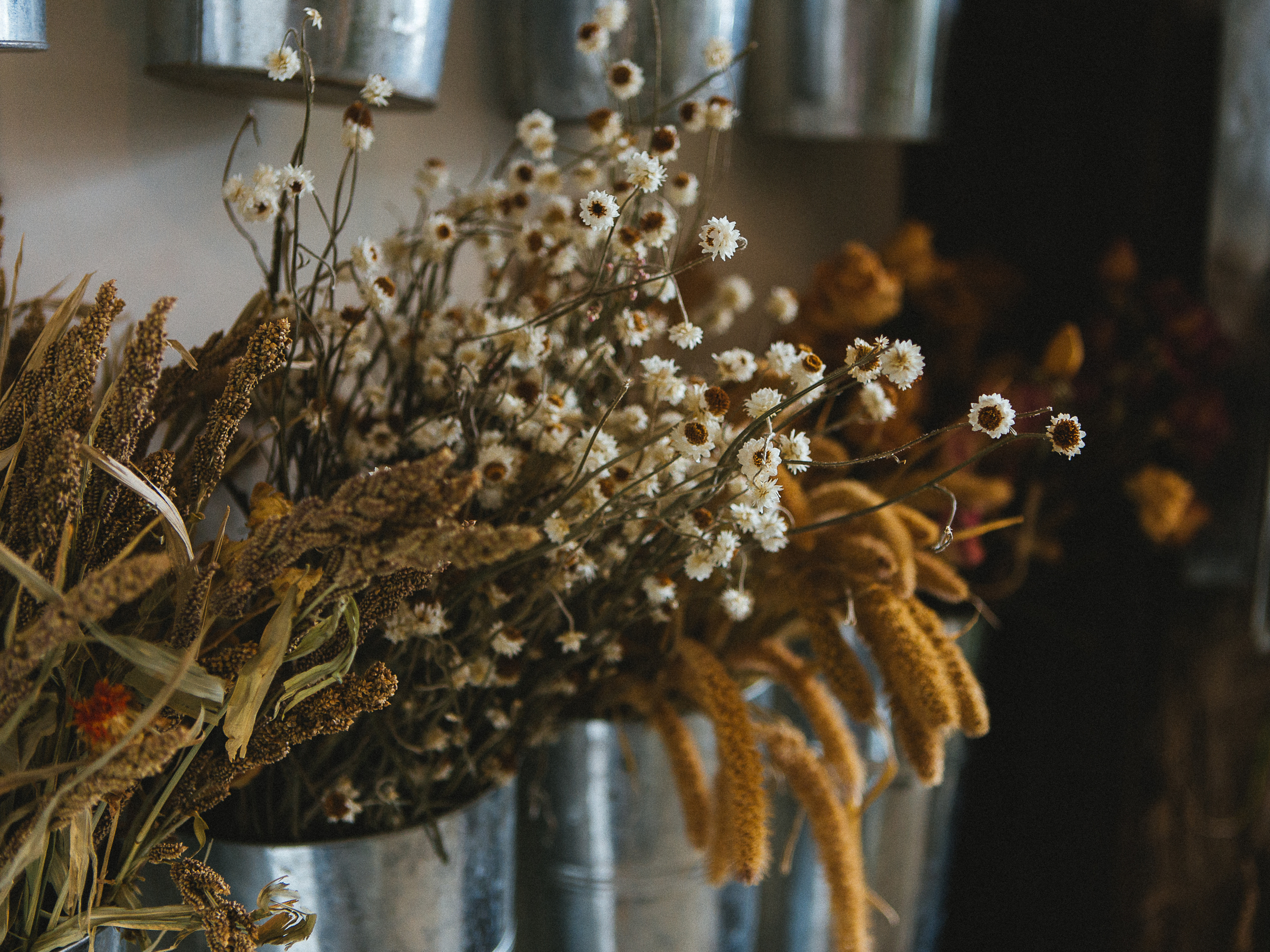 Flora: Asheville // www.kristalajara.com