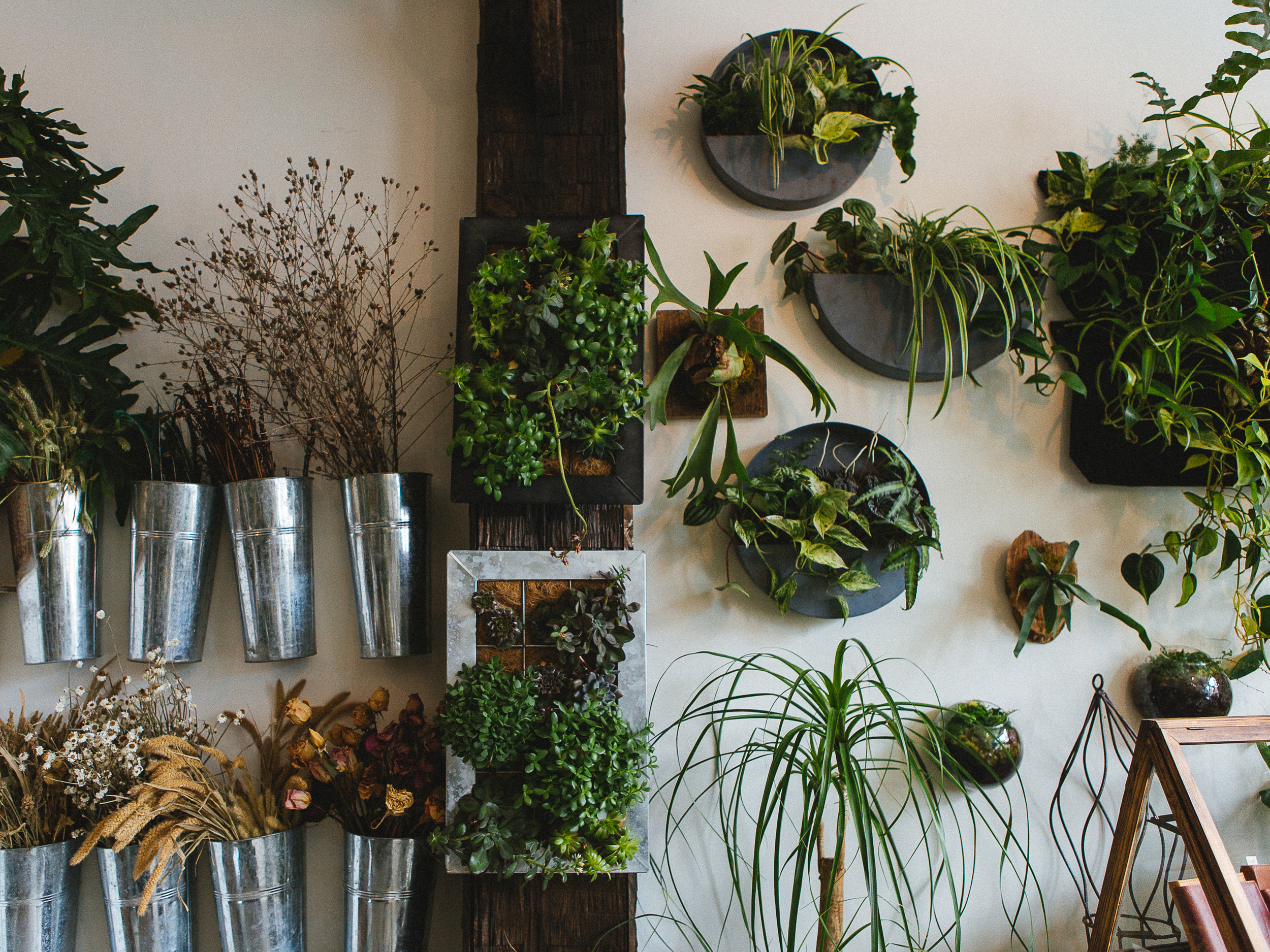 Flora: Asheville // www.kristalajara.com