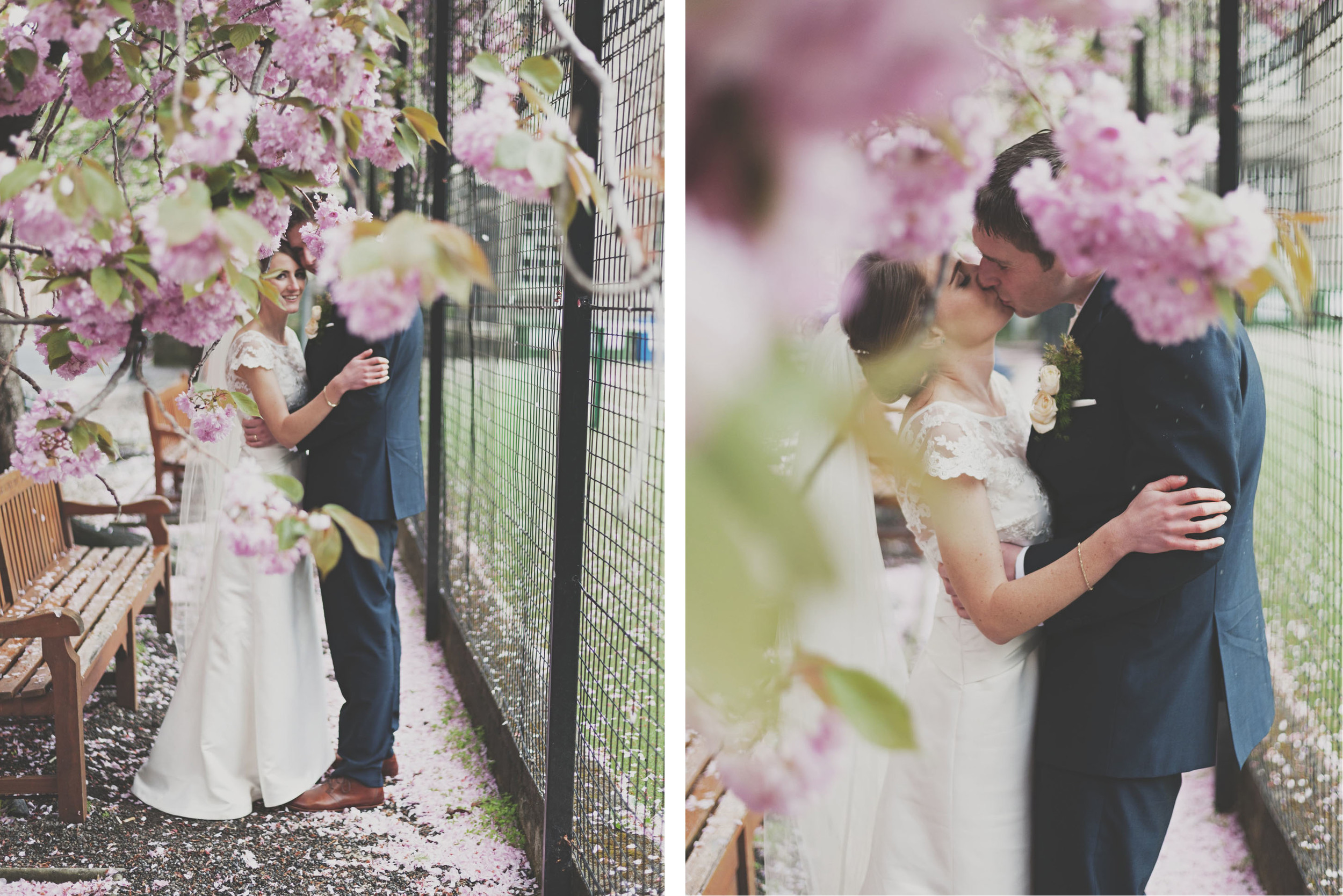 Cherry blossoms and Wedding couple at Trinity College Dublin
